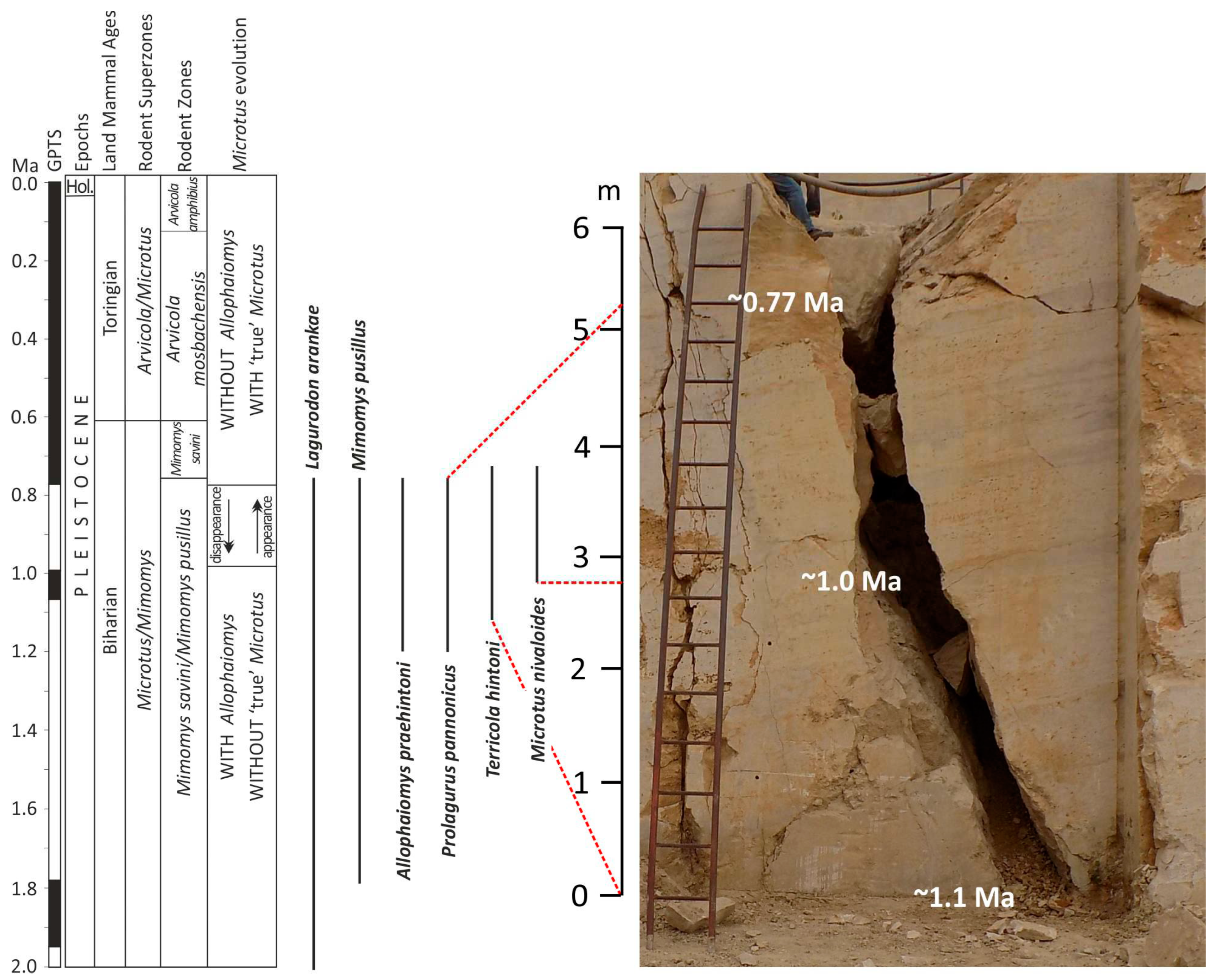 Preprints 72935 g004