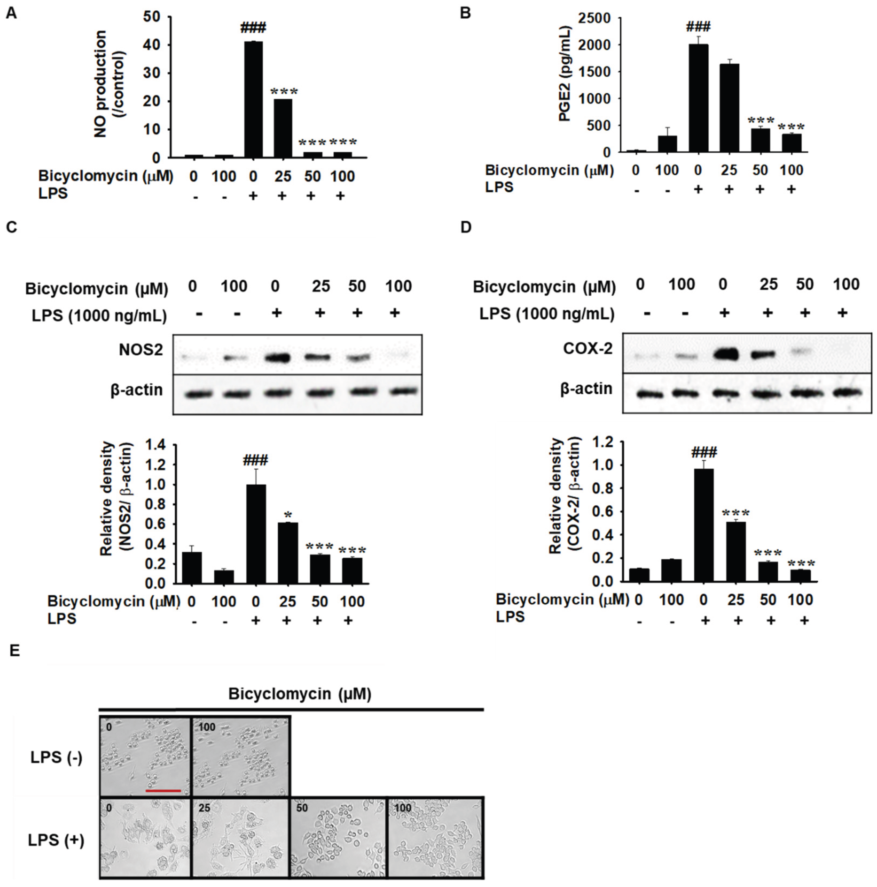Preprints 221255 g002 Preprints 221255 g002