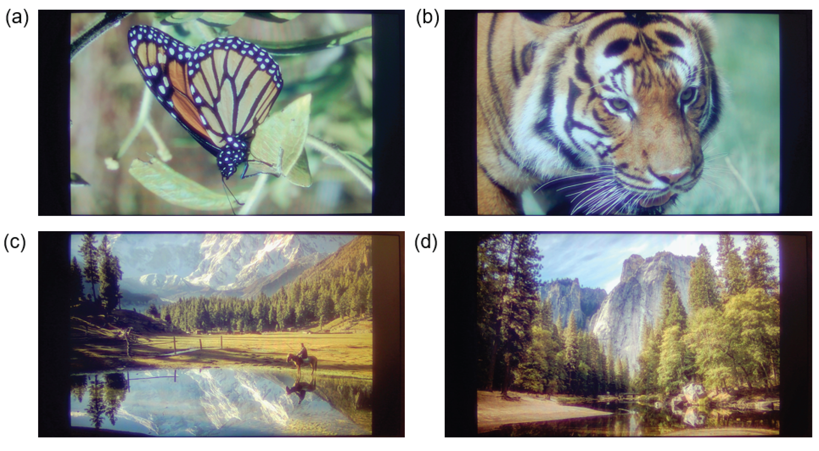 Preprints 177405 g006