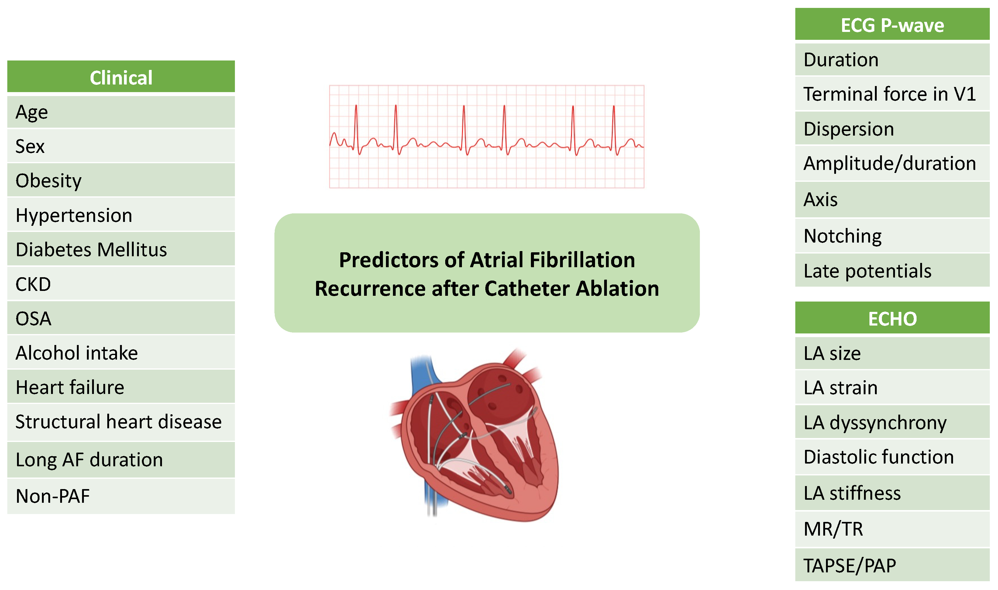 Preprints 145251 g001