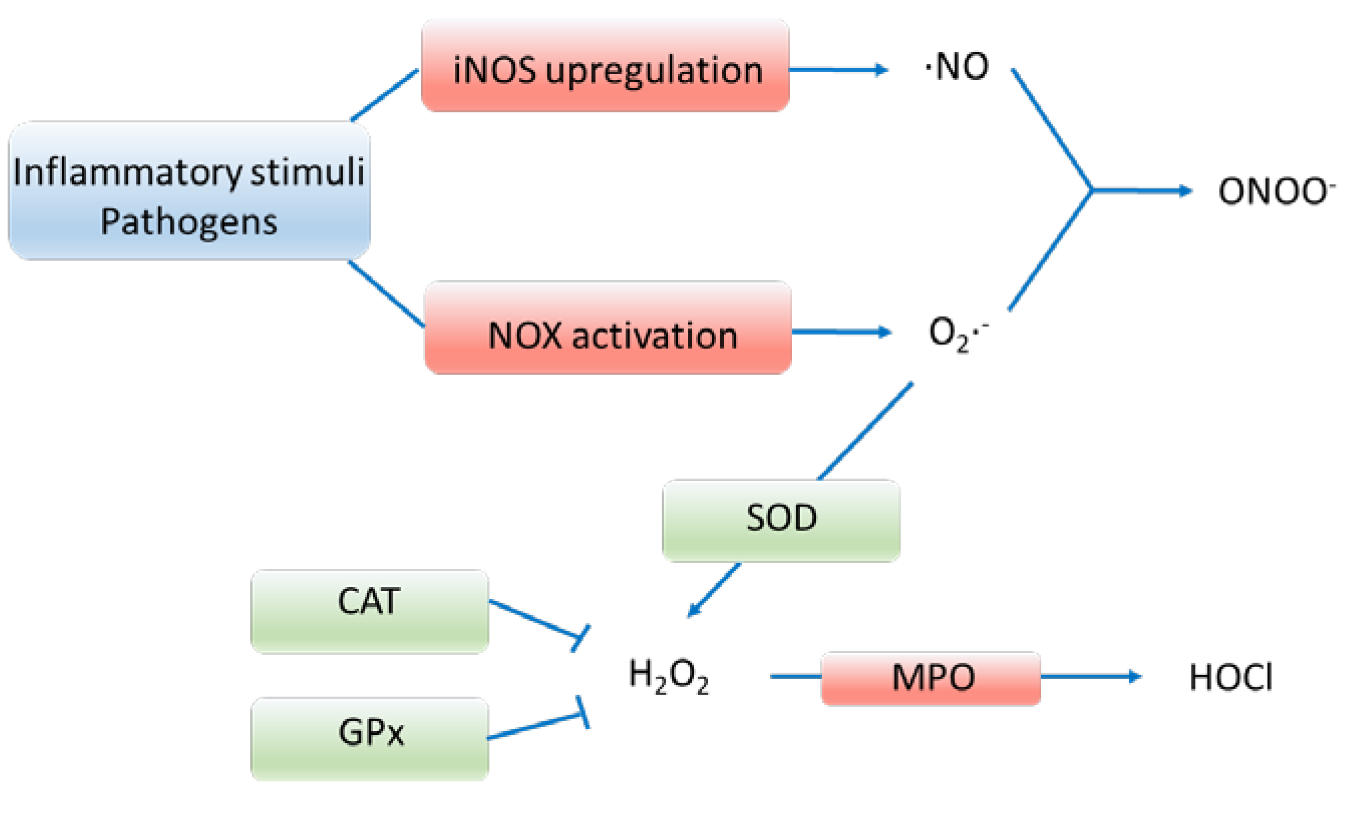Preprints 72344 g001
