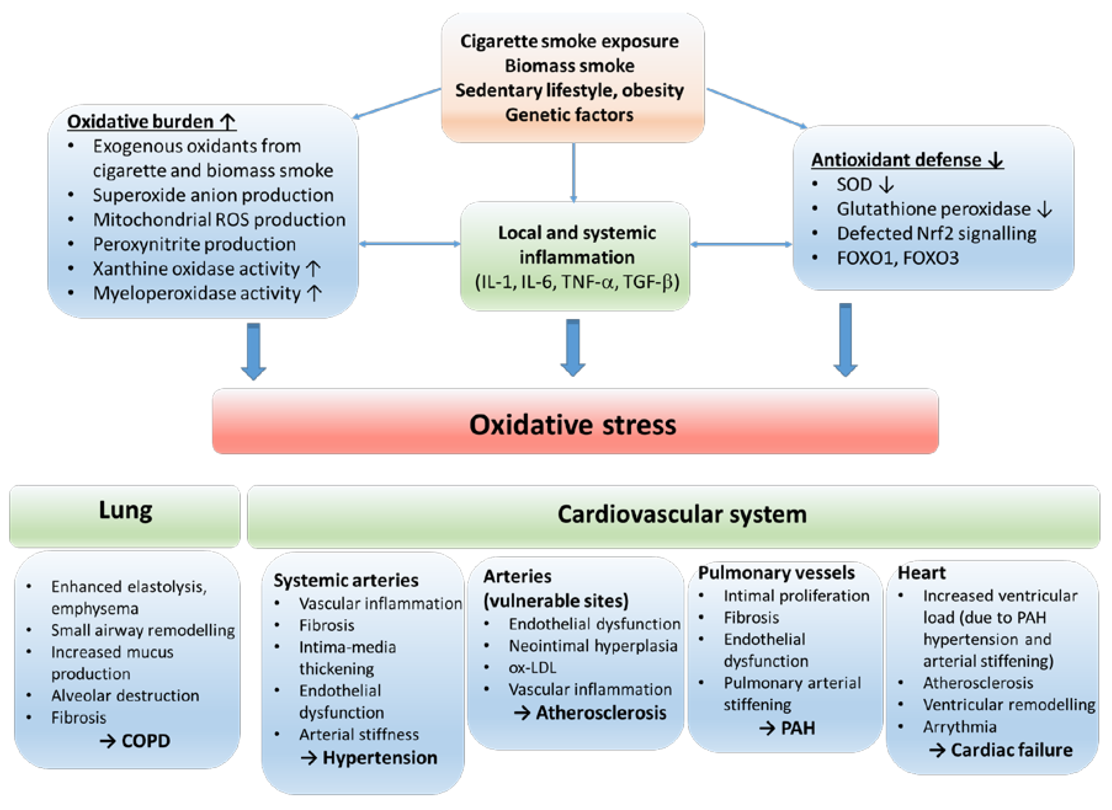Preprints 72344 g002