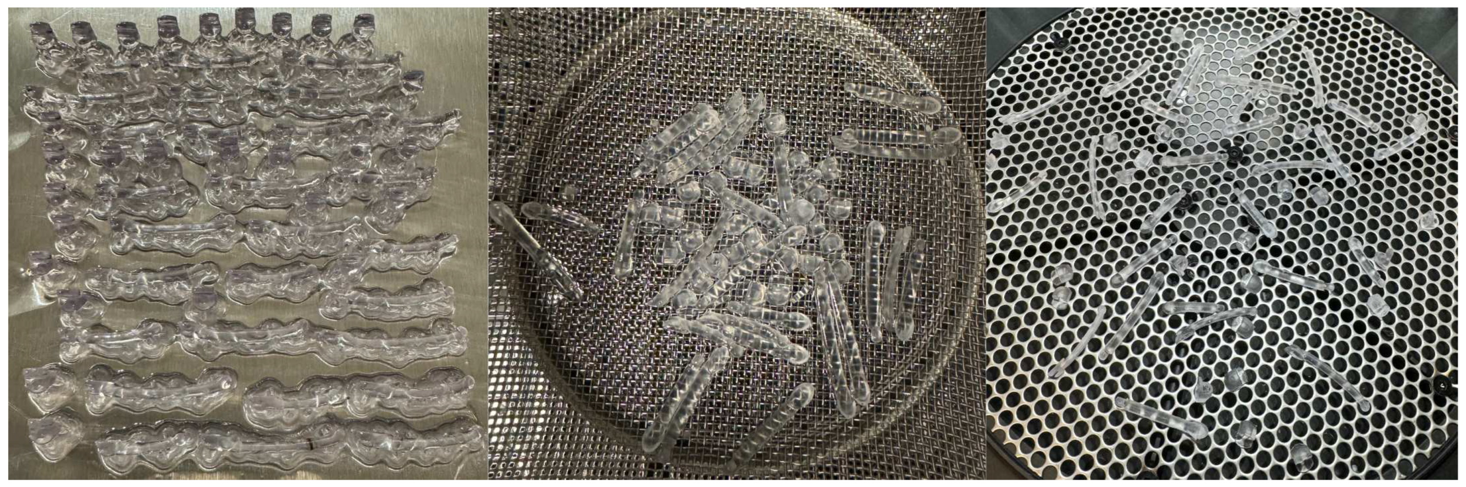 Preprints 98739 g008