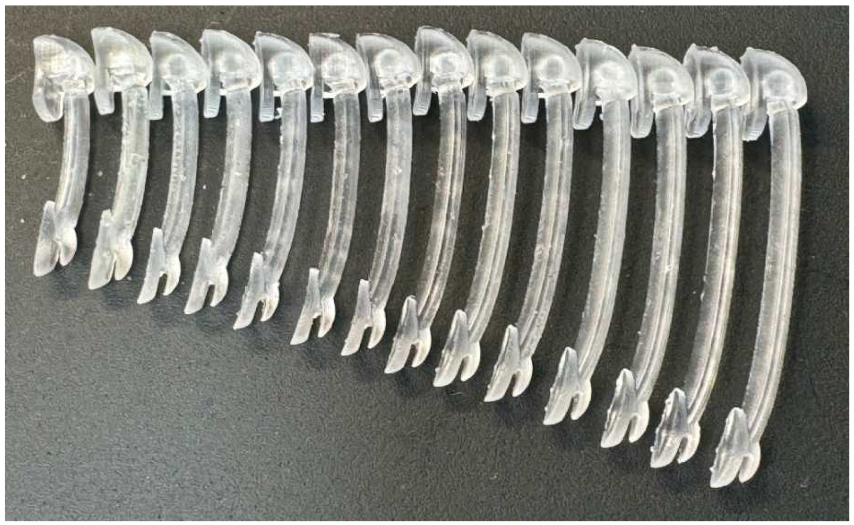 Preprints 98739 g009