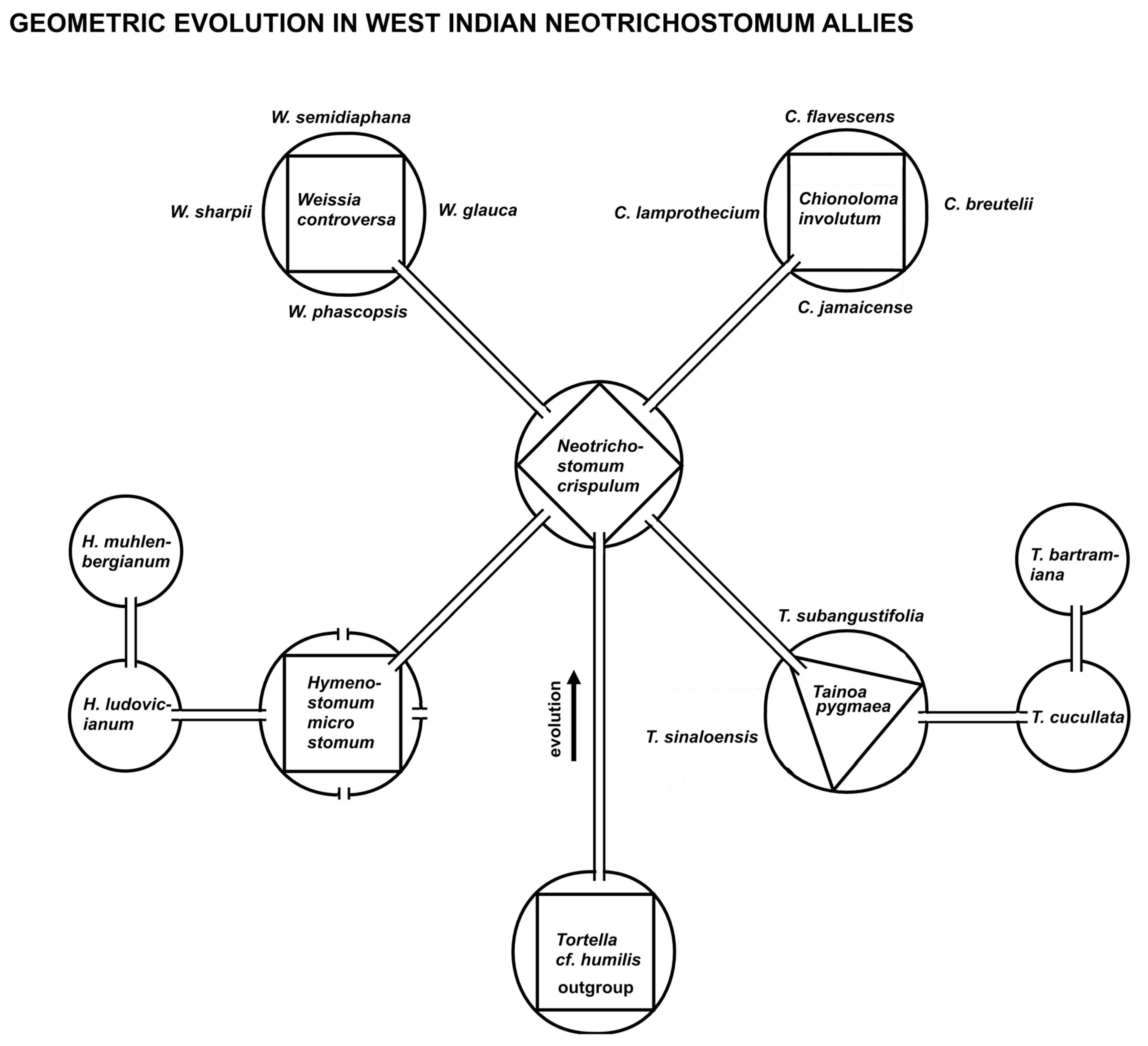 Preprints 146079 g006