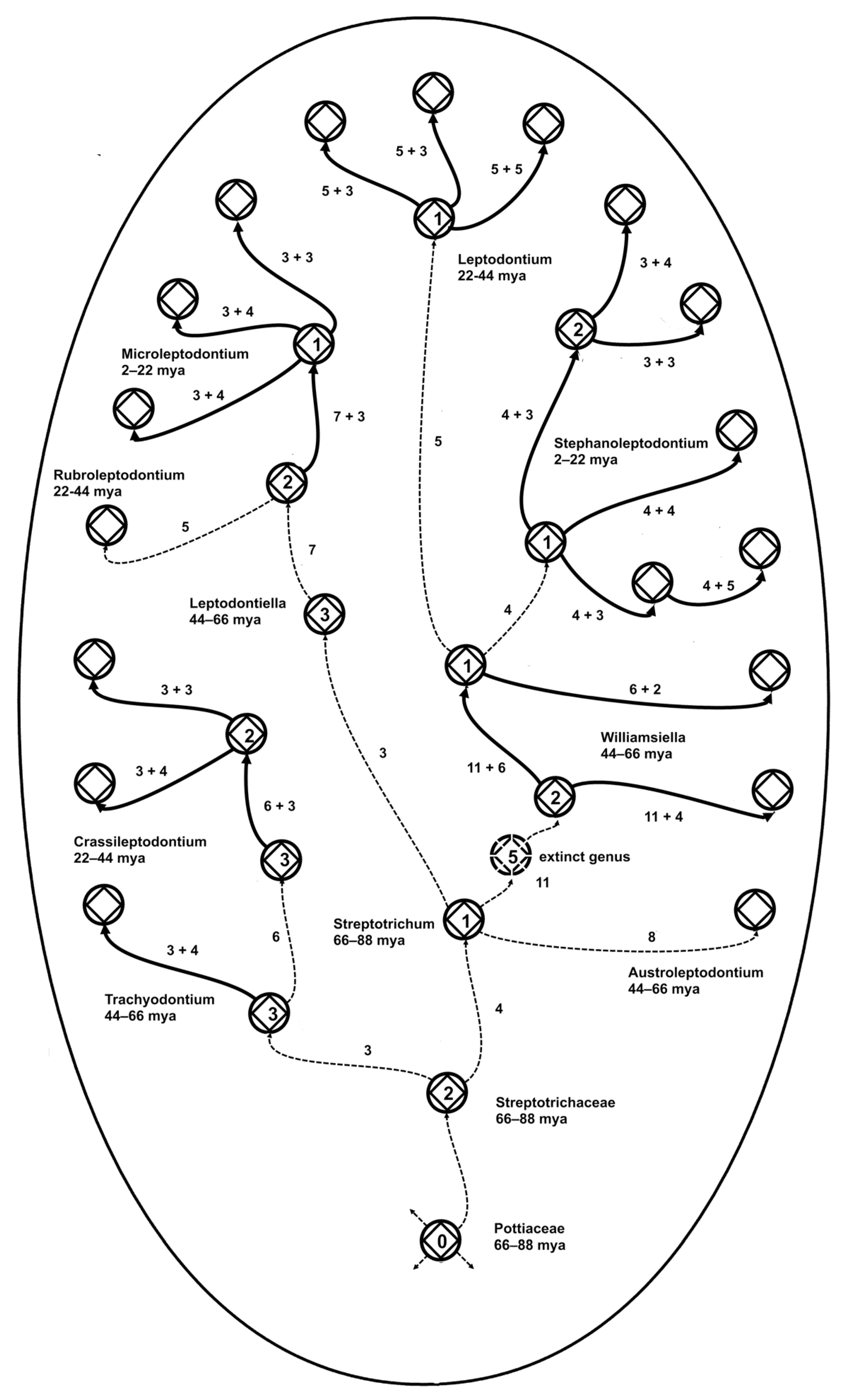 Preprints 146079 g008