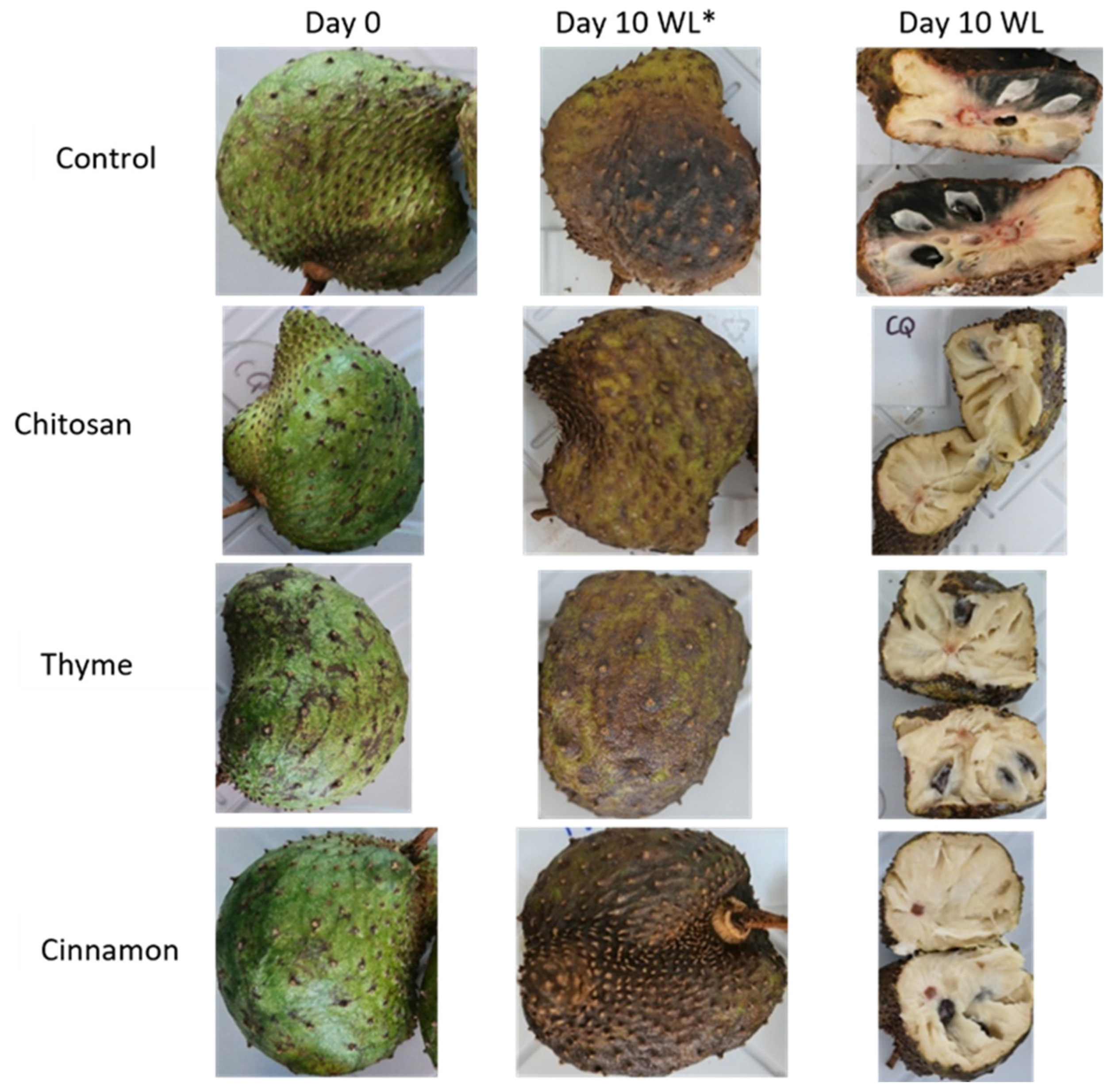 Preprints 77731 g002