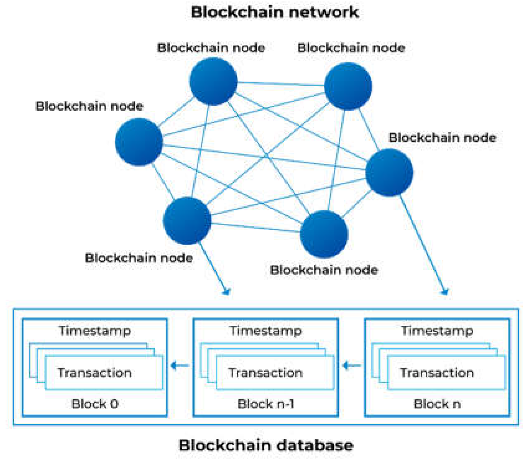Preprints 155751 g002
