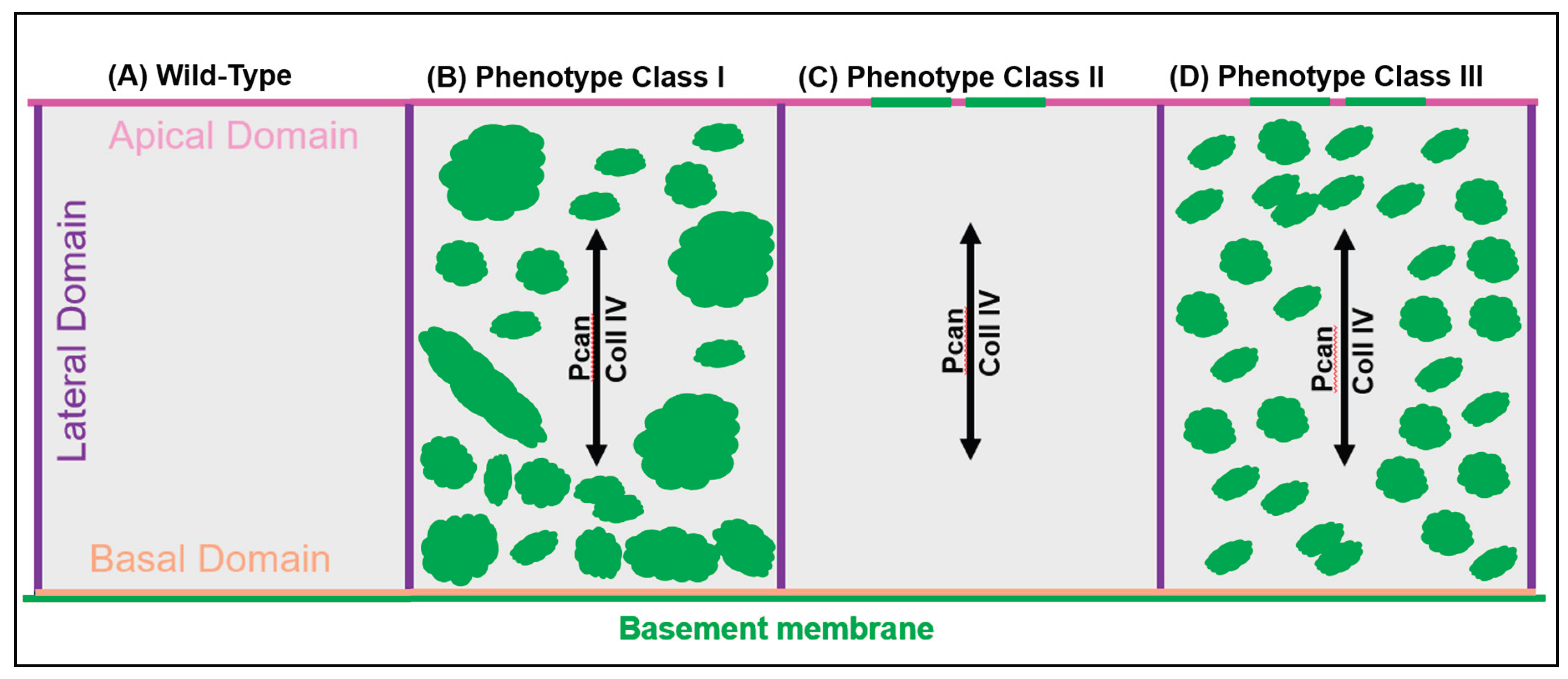 Preprints 203506 g002 Preprints 203506 g002