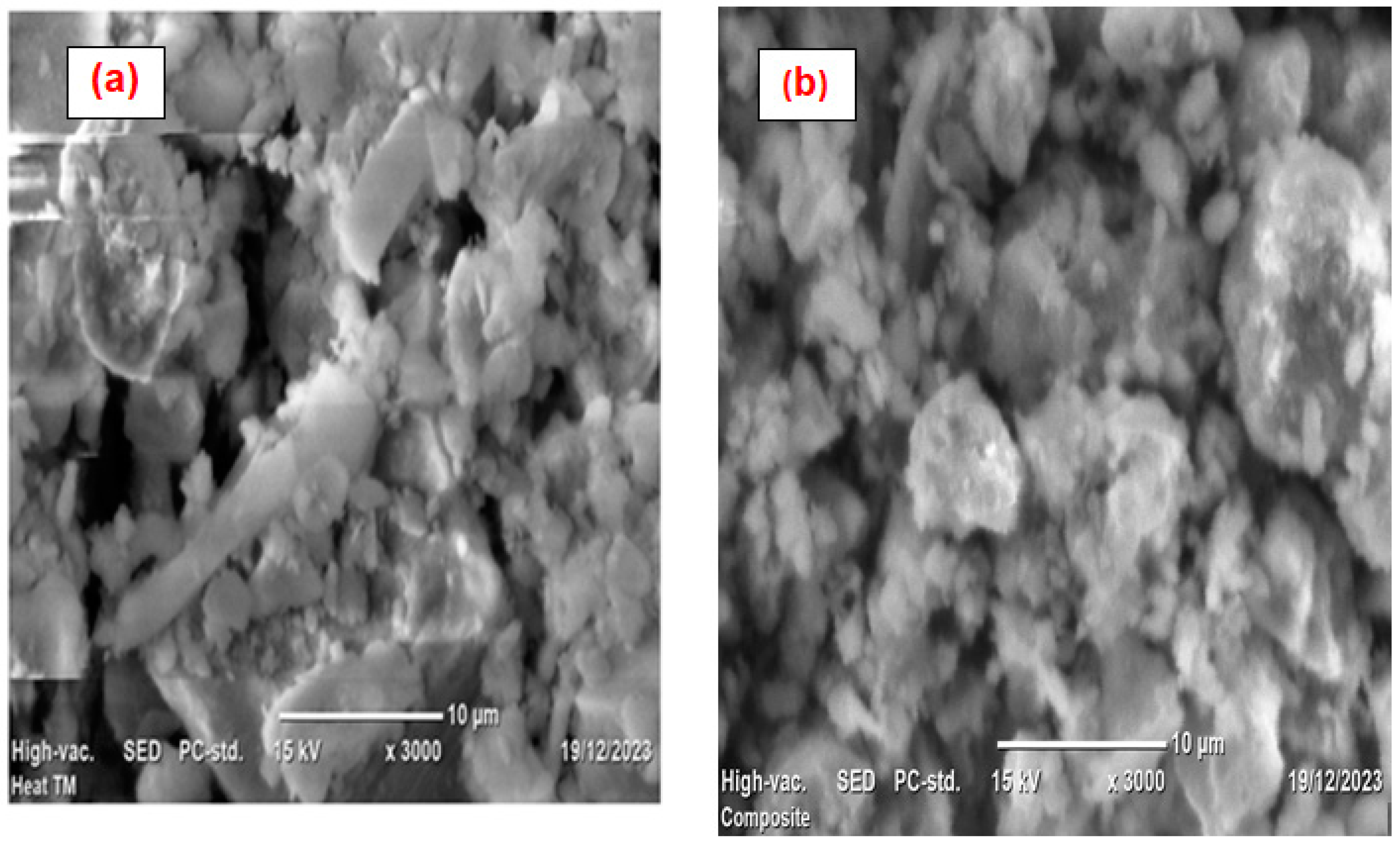 Preprints 150911 g004