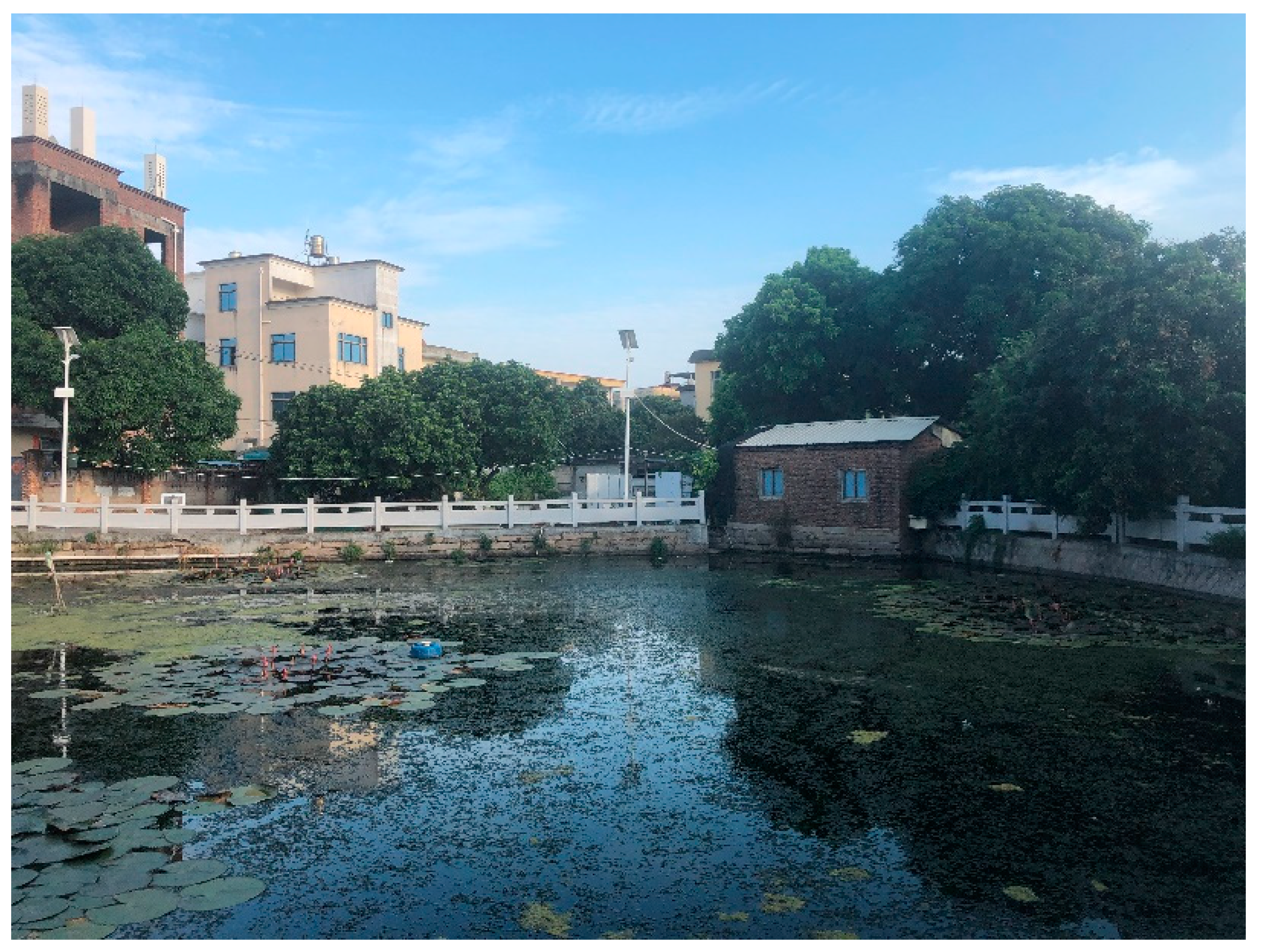 Preprints 148844 g013