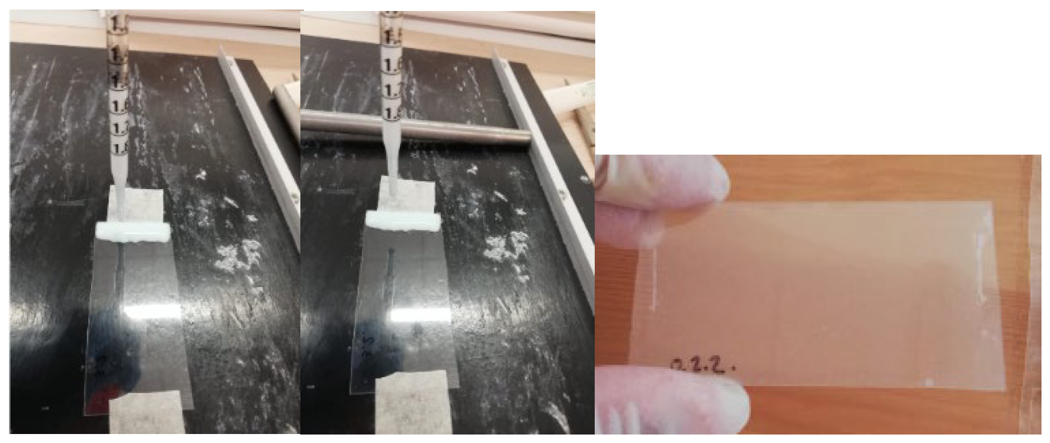 Preprints 107065 g004