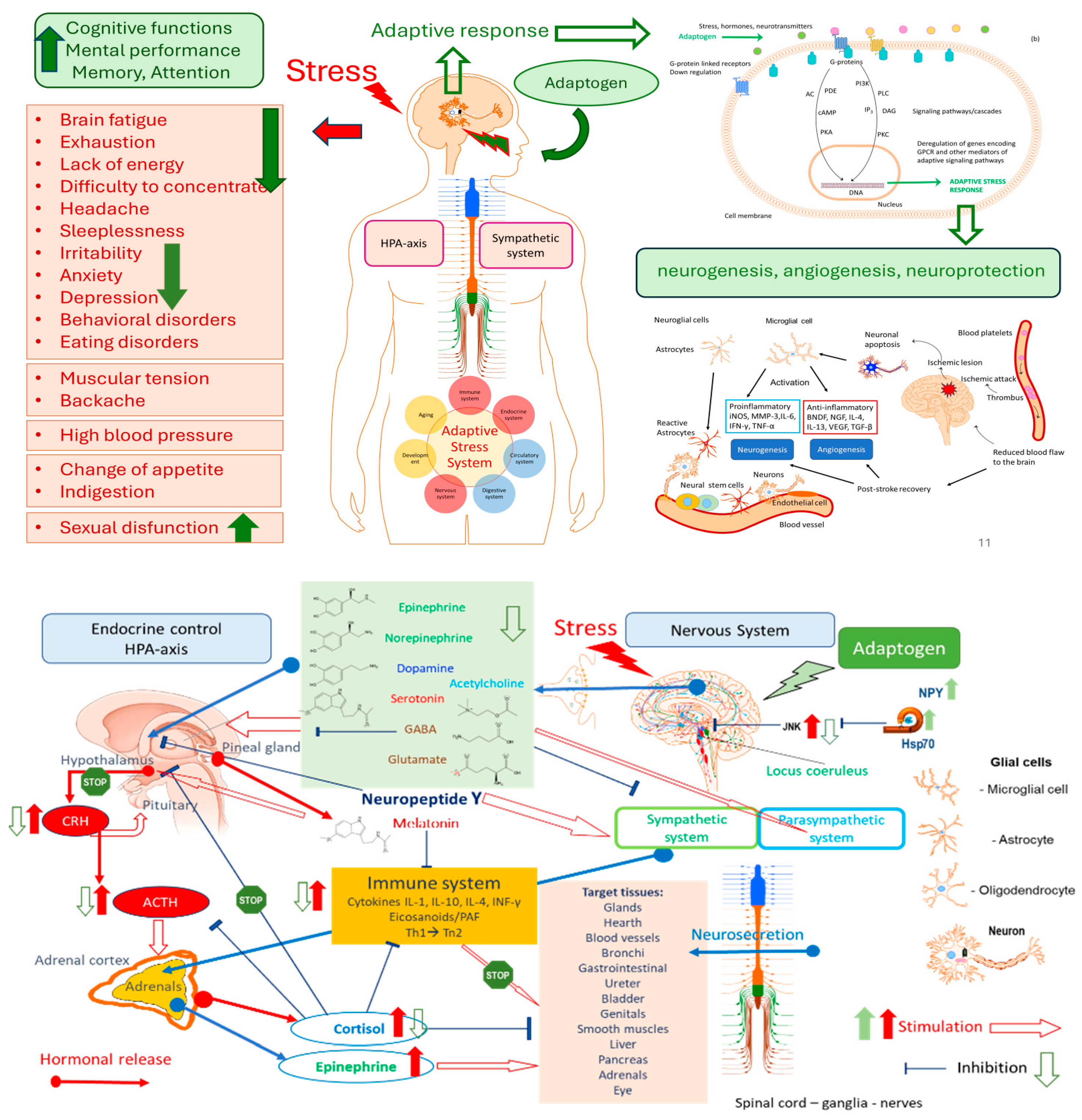Preprints 169473 g003