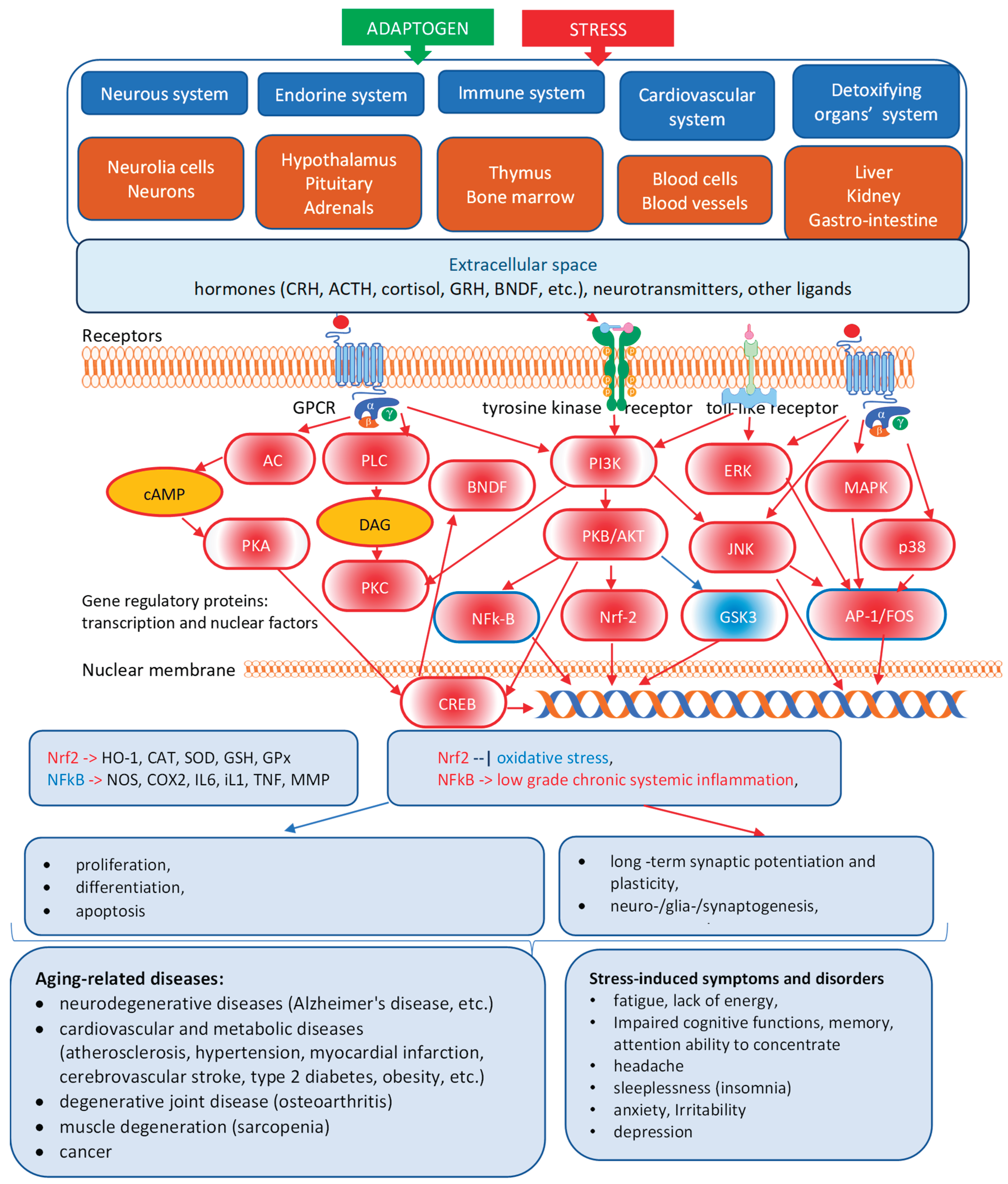 Preprints 169473 g004
