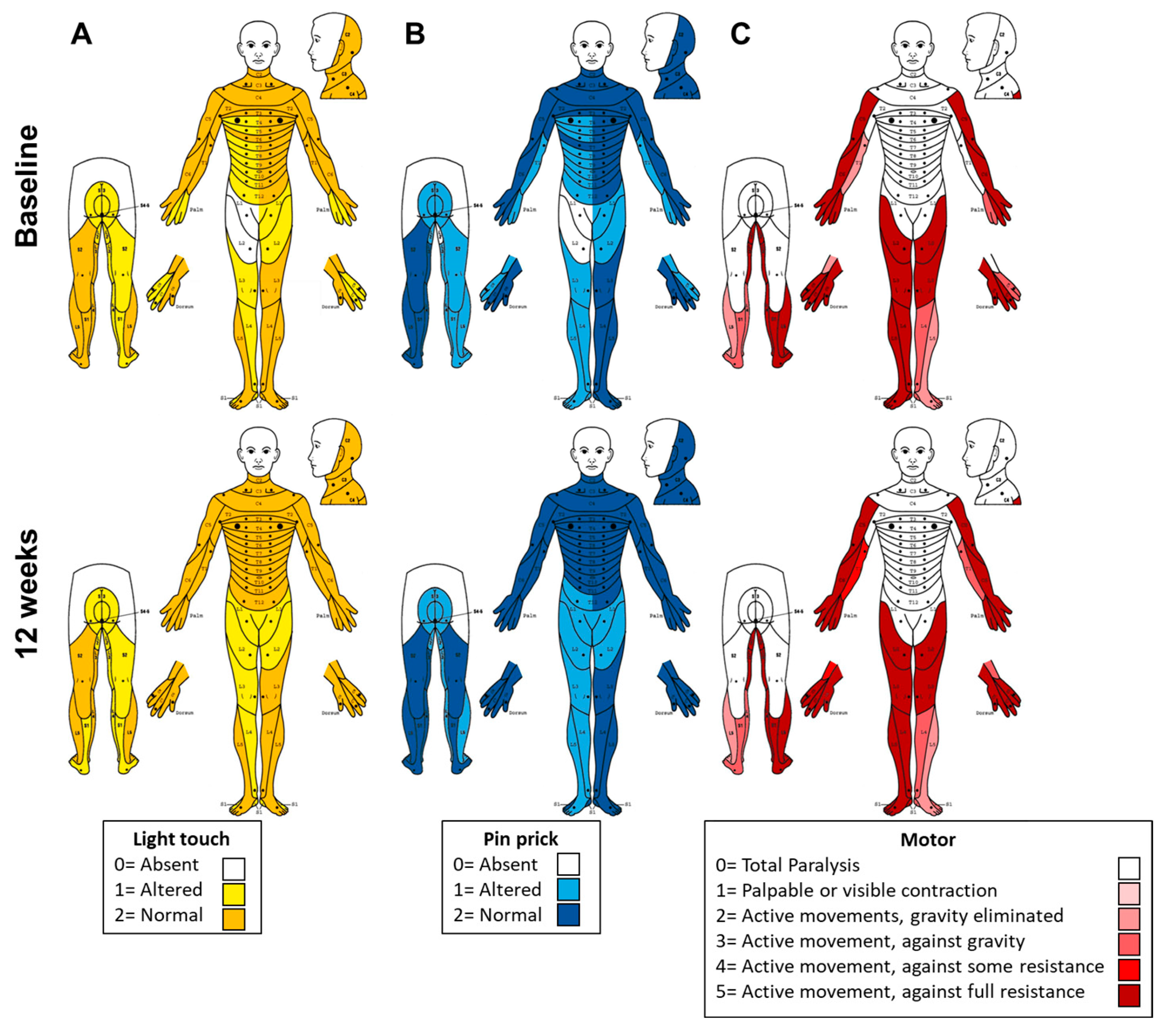 Preprints 195092 g001