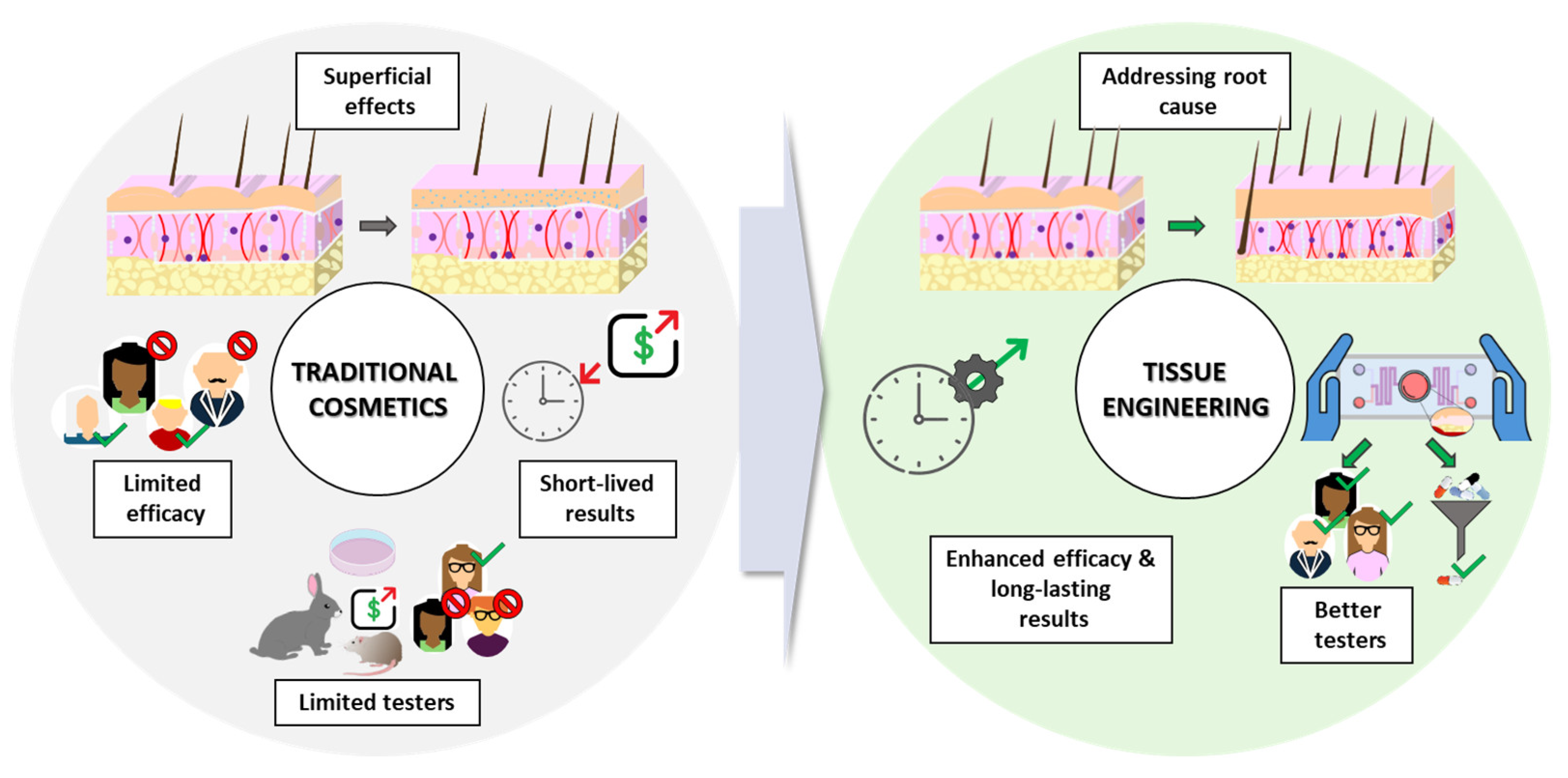 Preprints 109646 g001