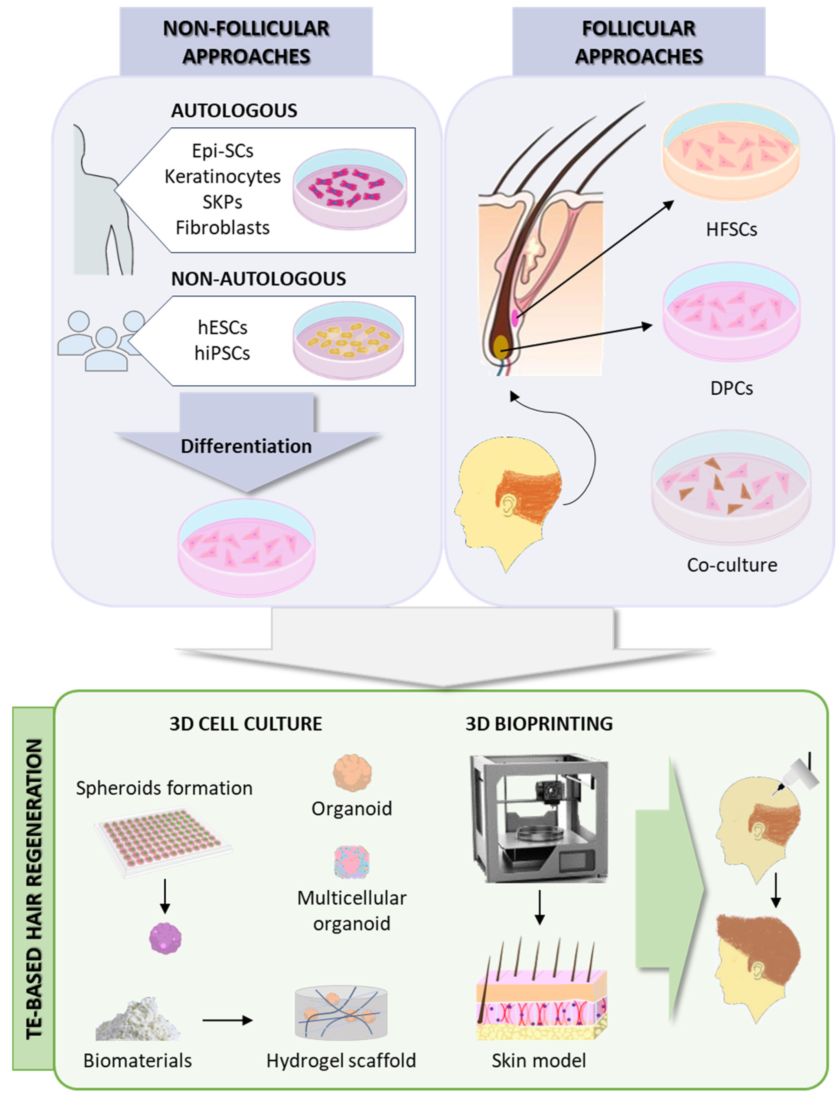 Preprints 109646 g003