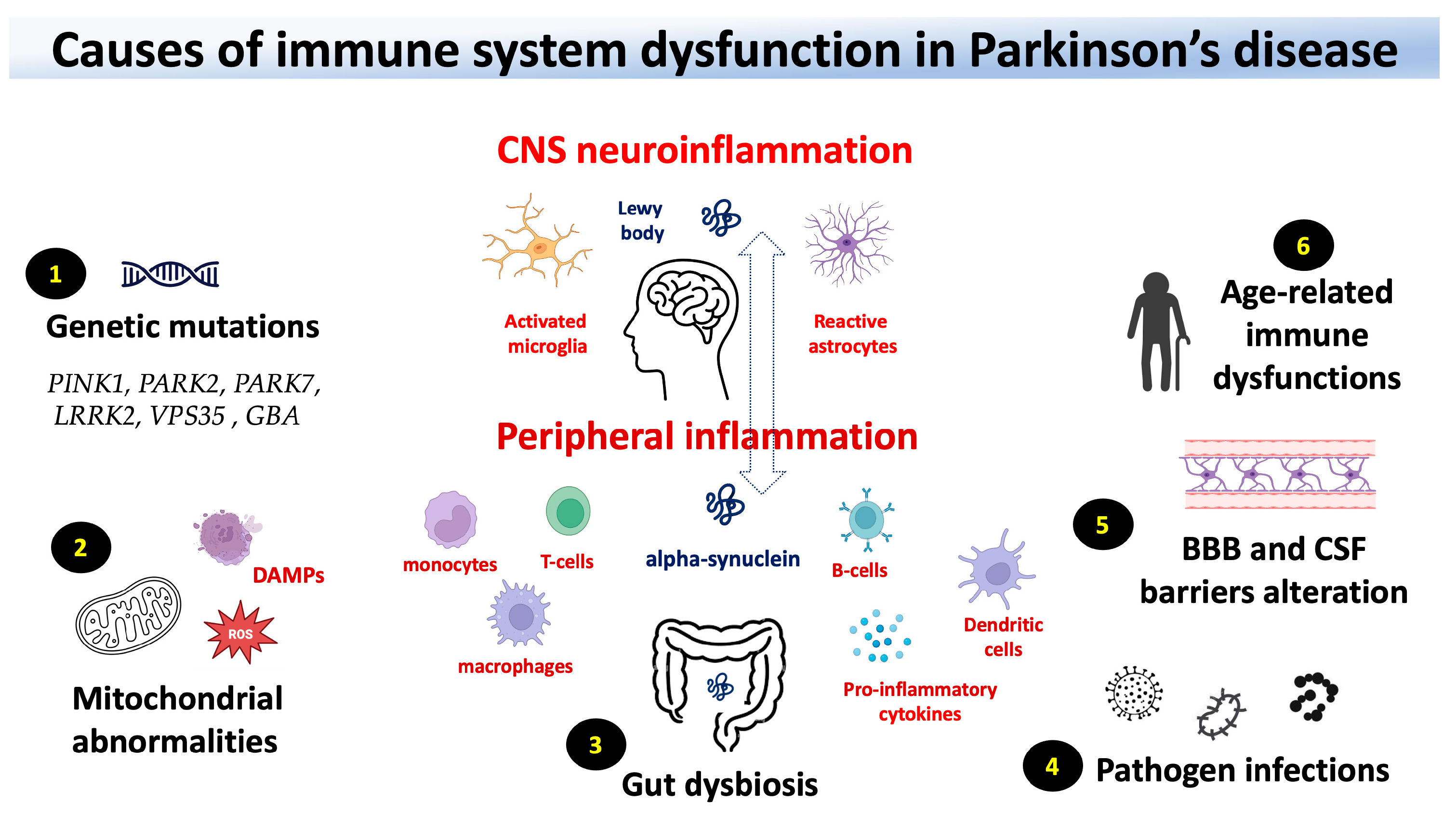 Preprints 89658 g001