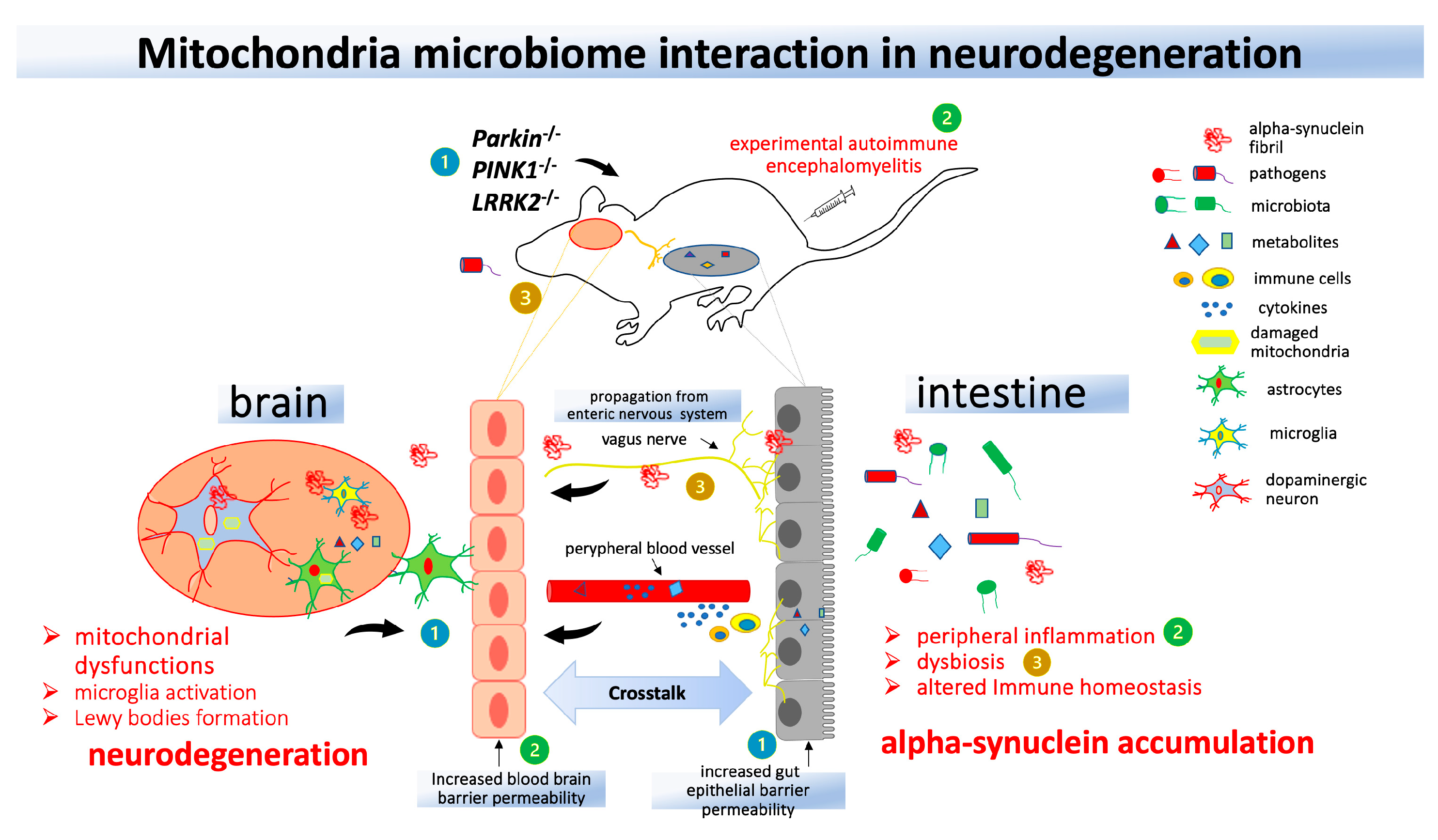 Preprints 89658 g002