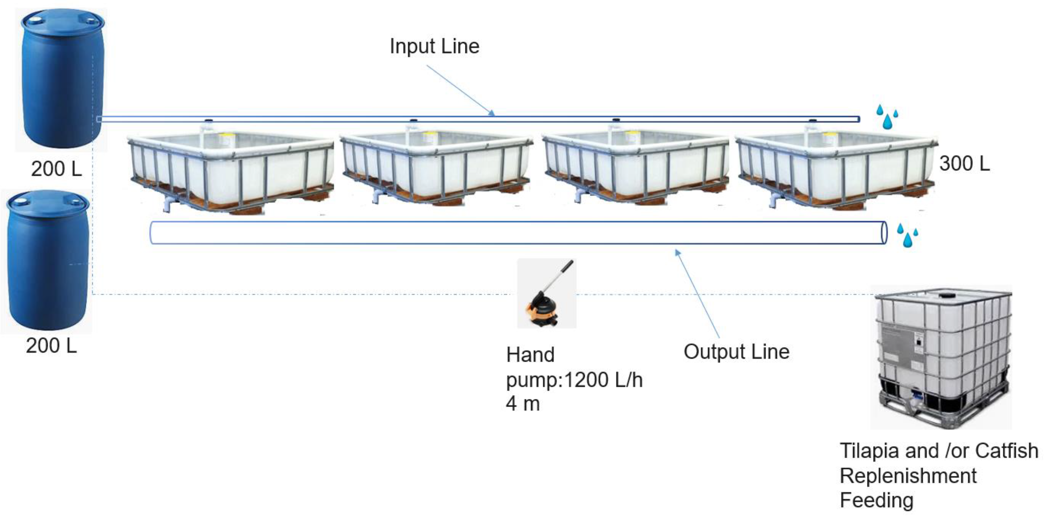 Preprints 171995 g001