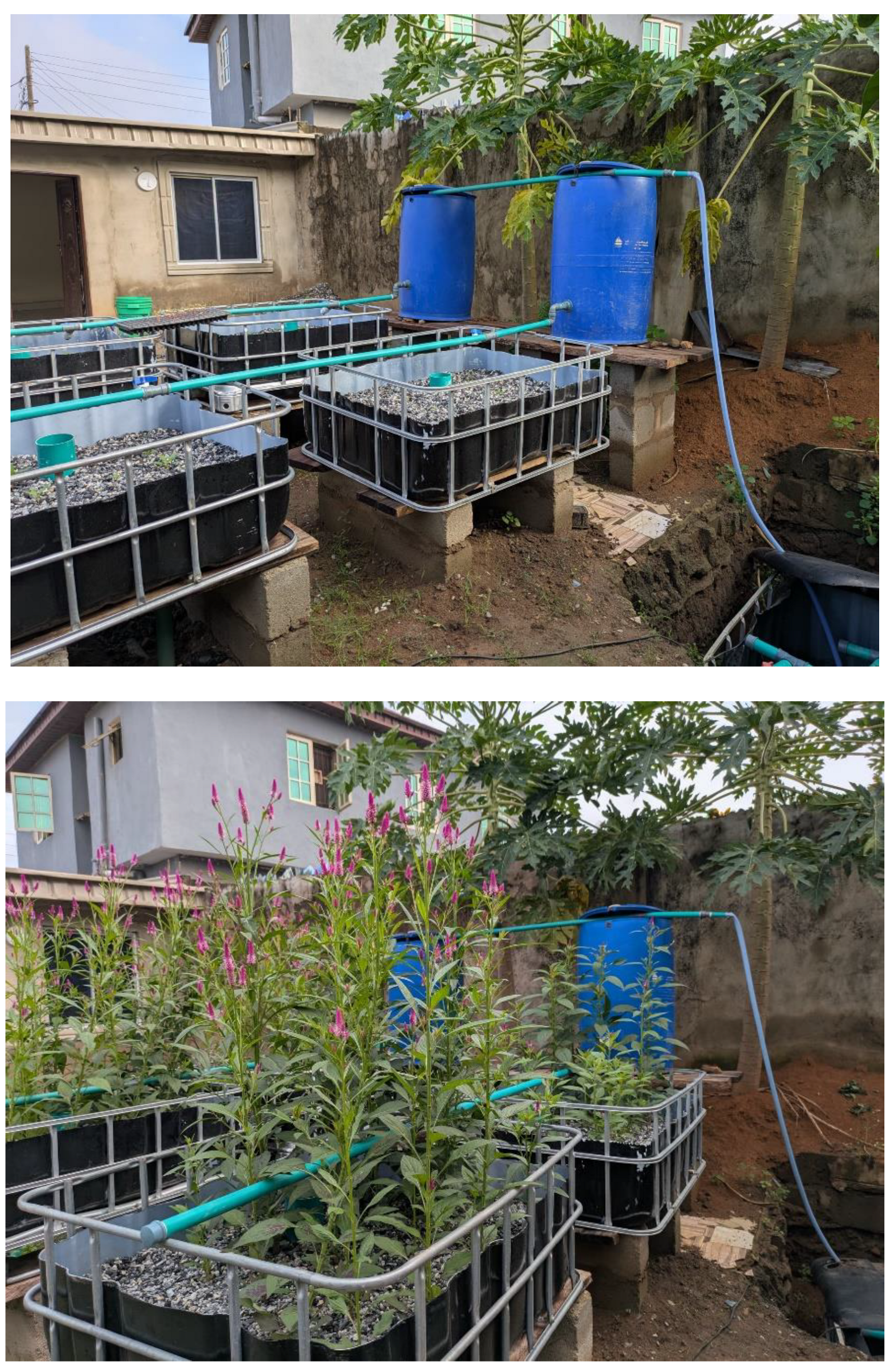 Preprints 171995 g002