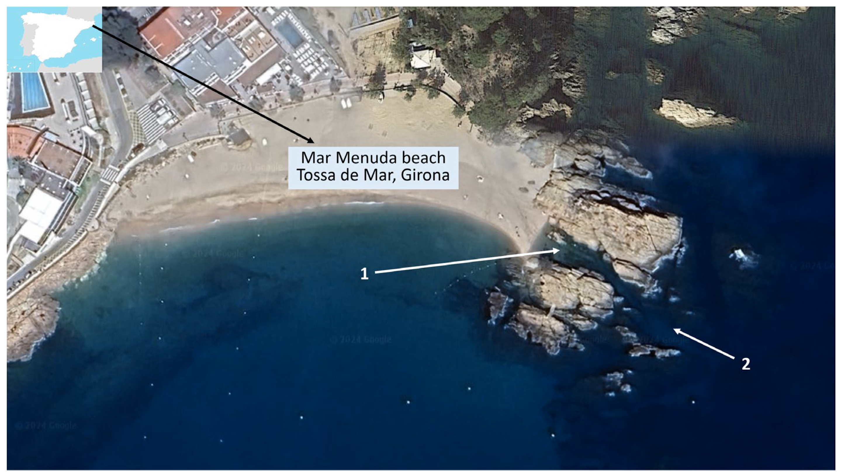 Preprints 138200 g001