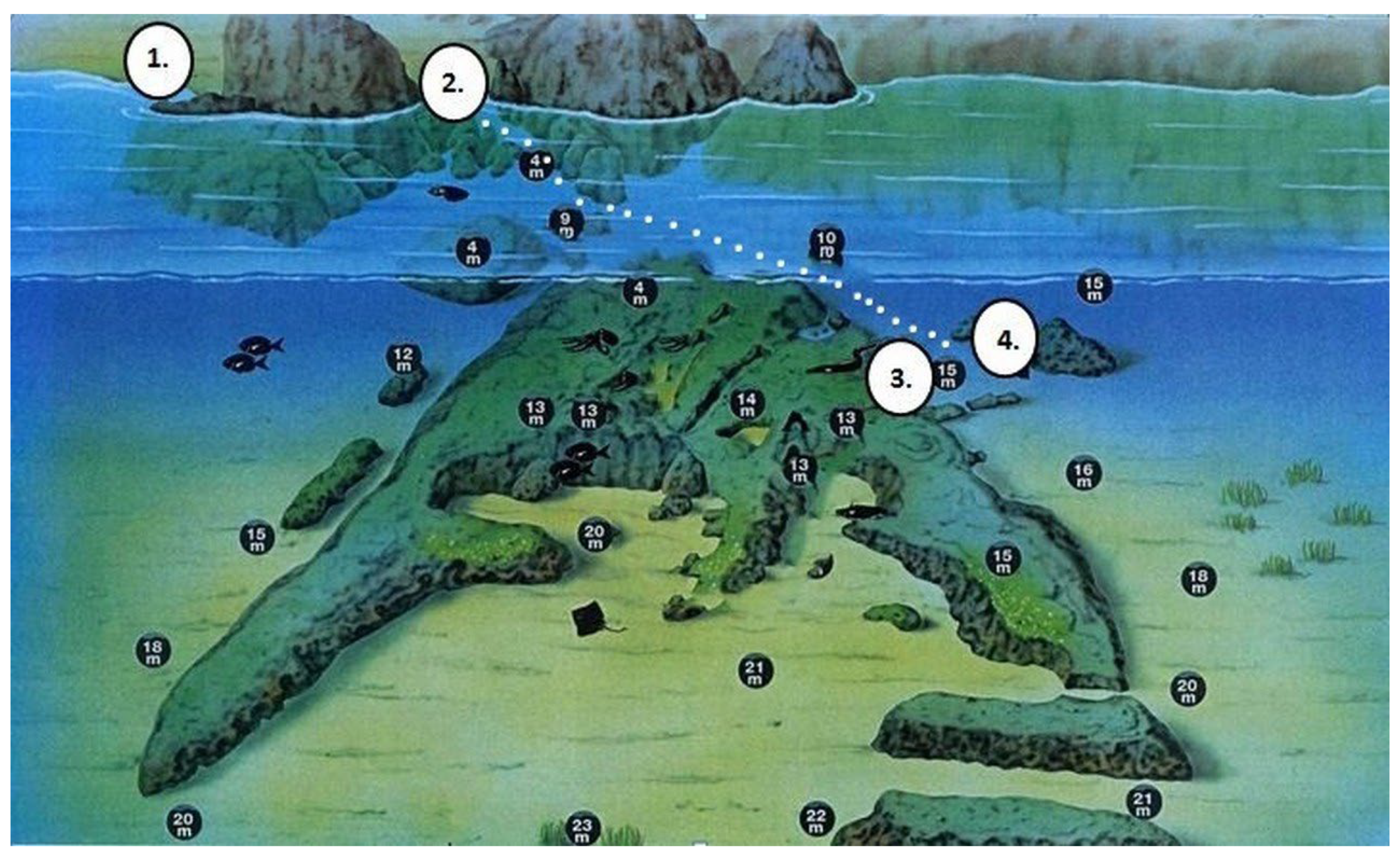 Preprints 138200 g002