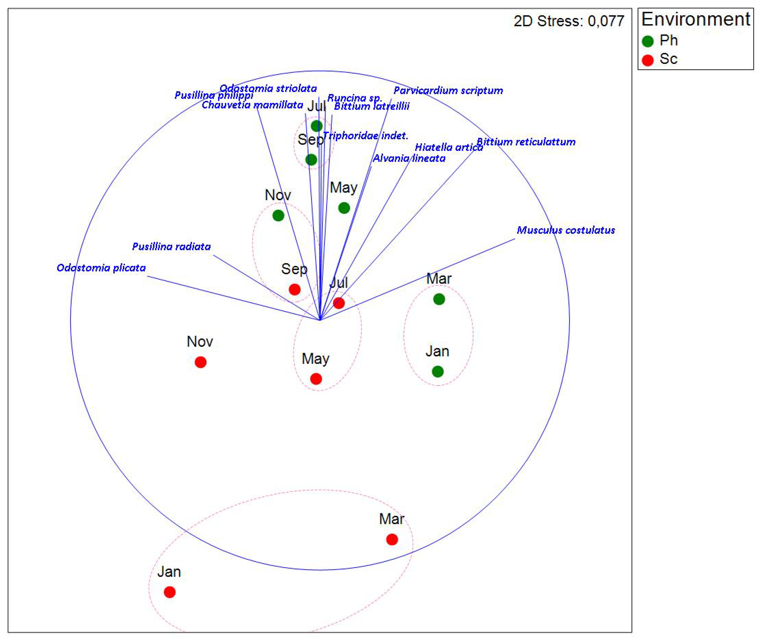 Preprints 138200 g010