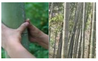 Preprints 210914 i007