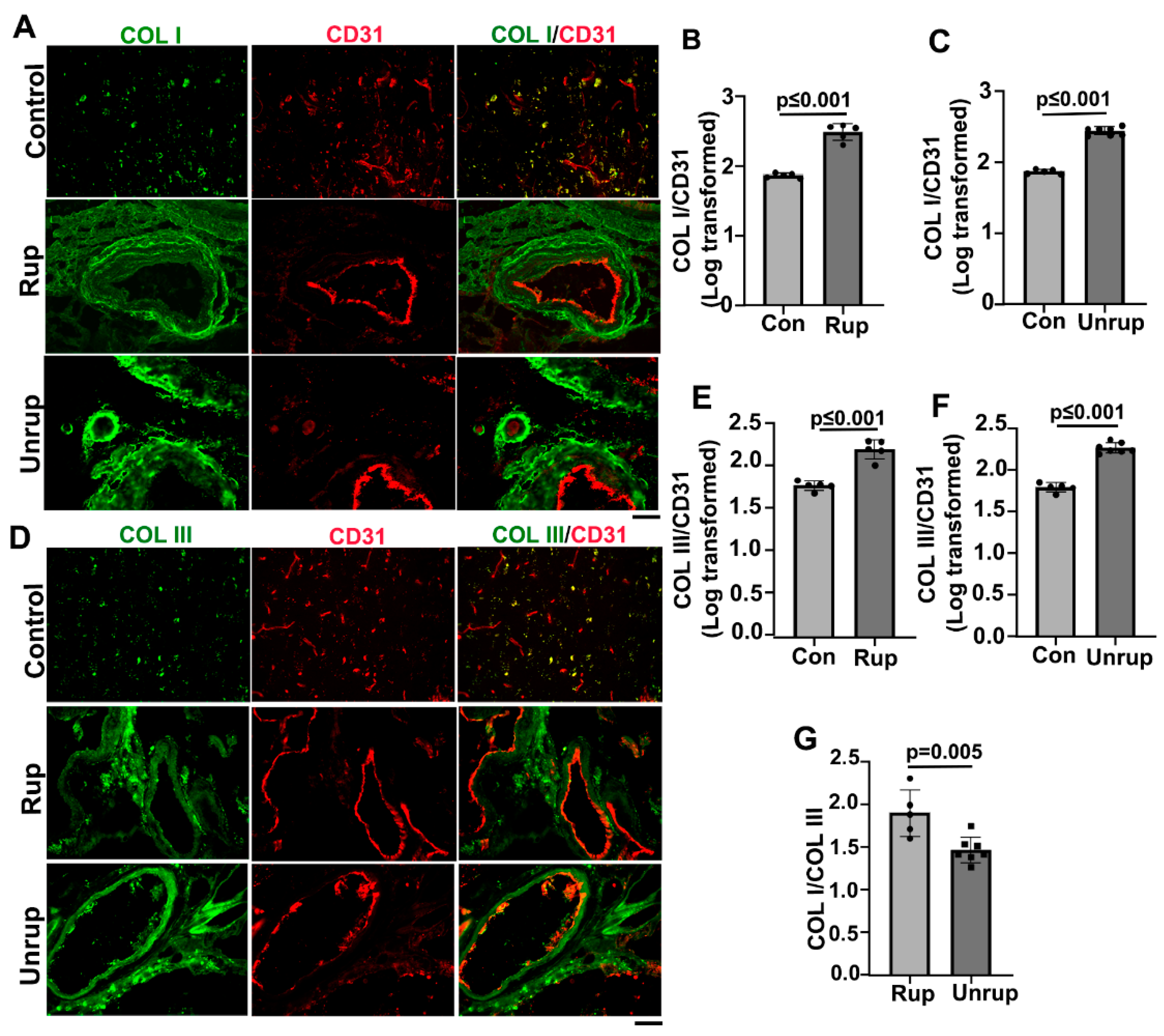 Preprints 92452 g002