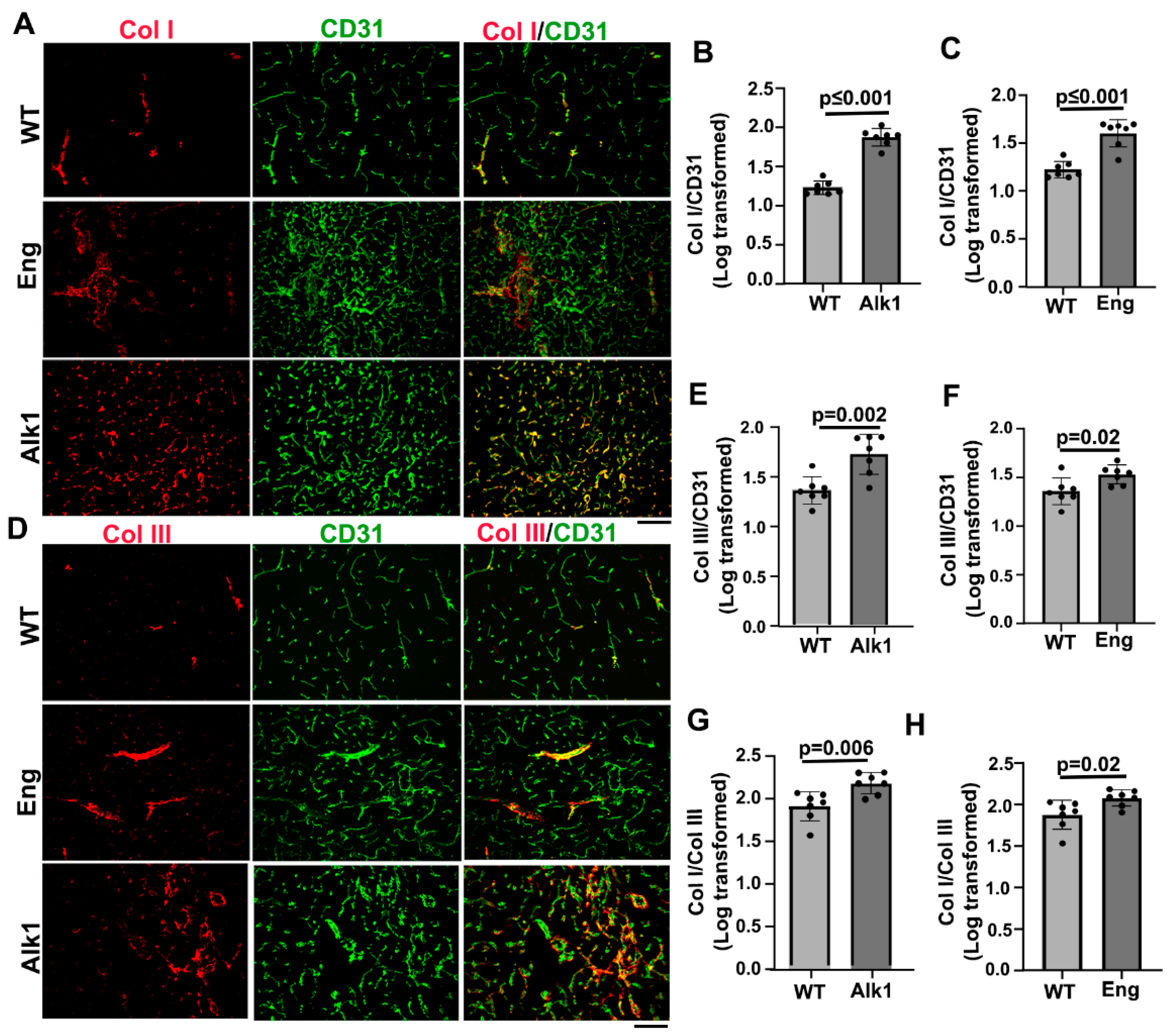 Preprints 92452 g003