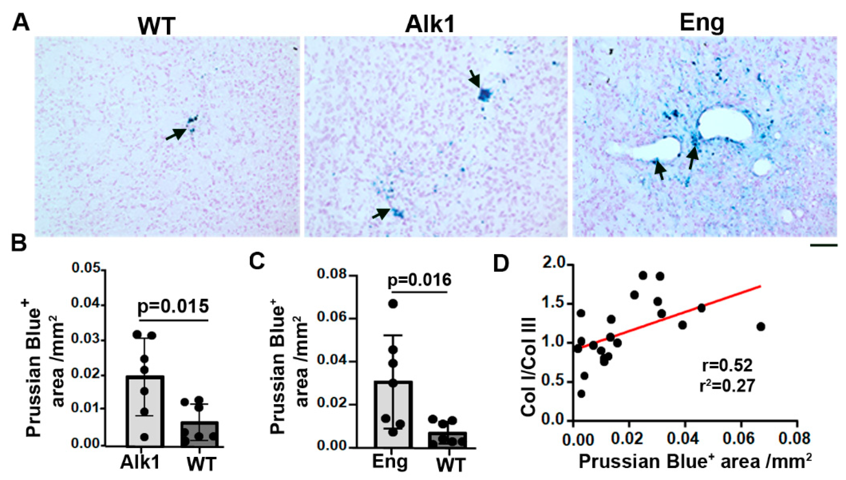 Preprints 92452 g004