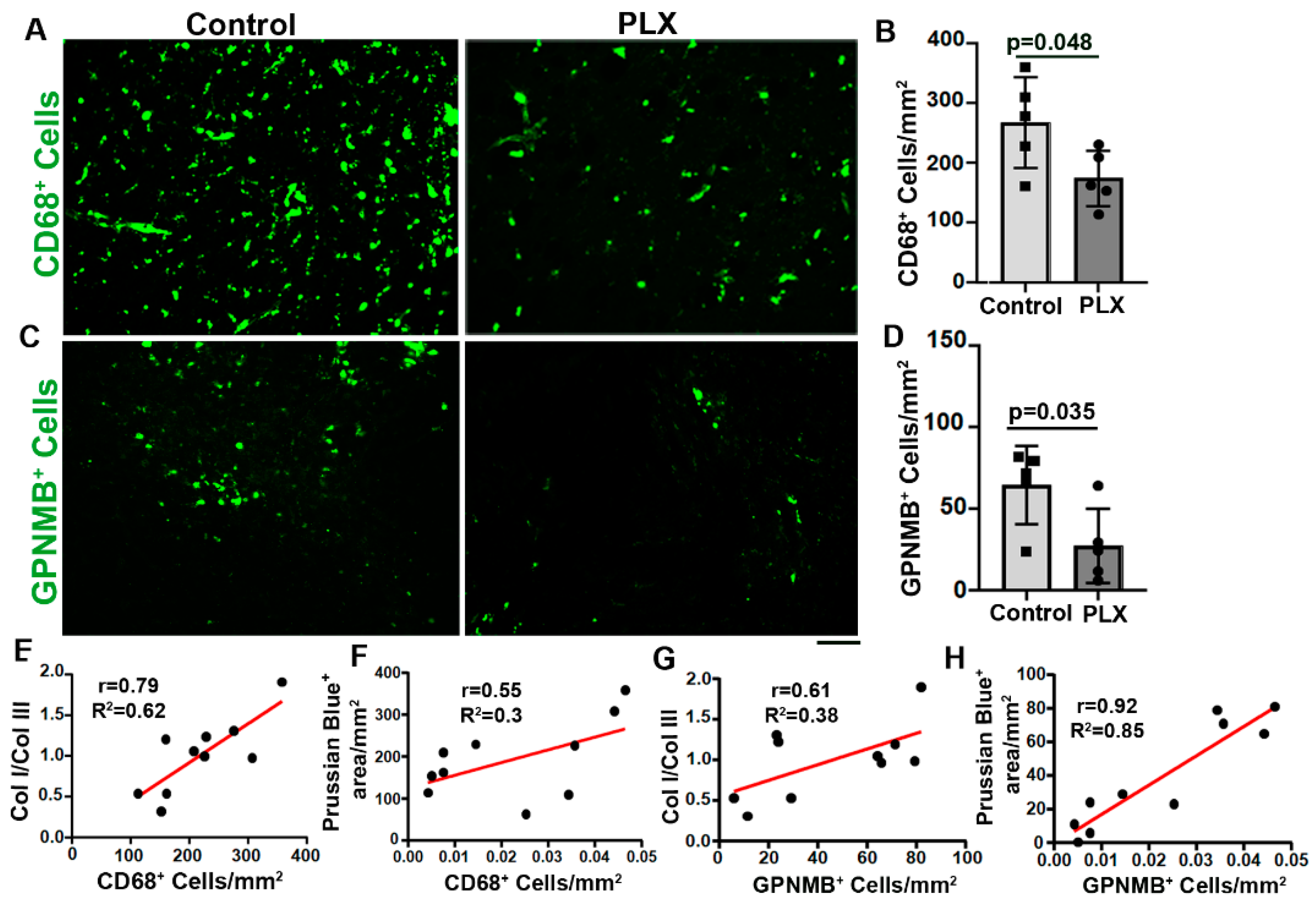 Preprints 92452 g006