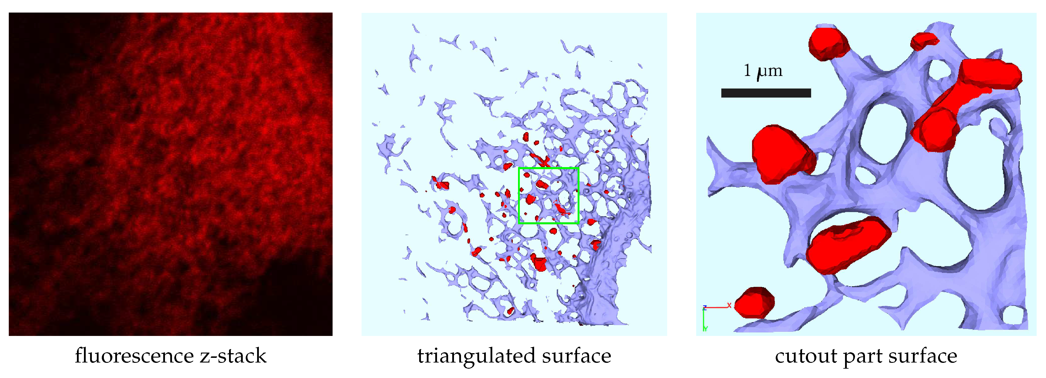 Preprints 96212 g001
