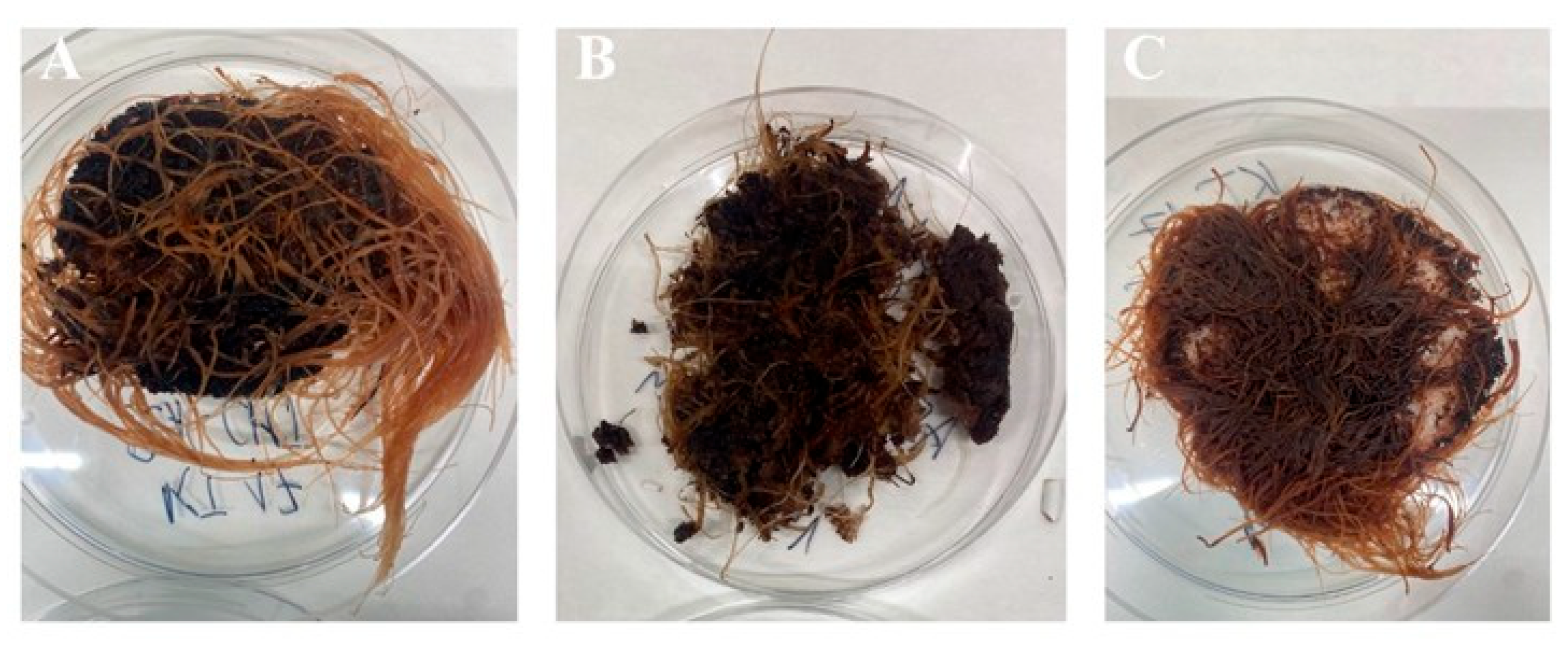 Preprints 178521 g009