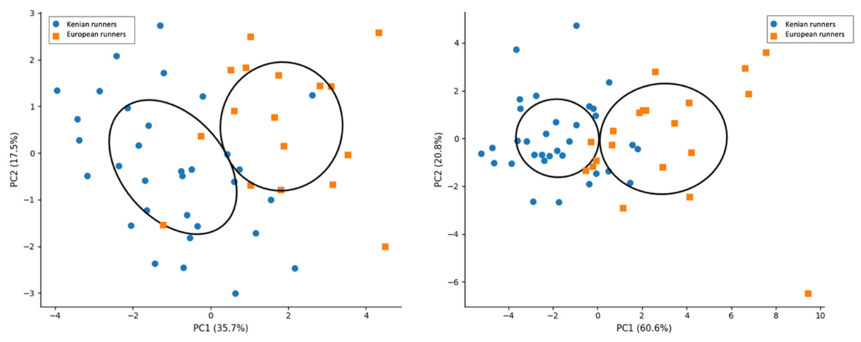 Preprints 221929 g004