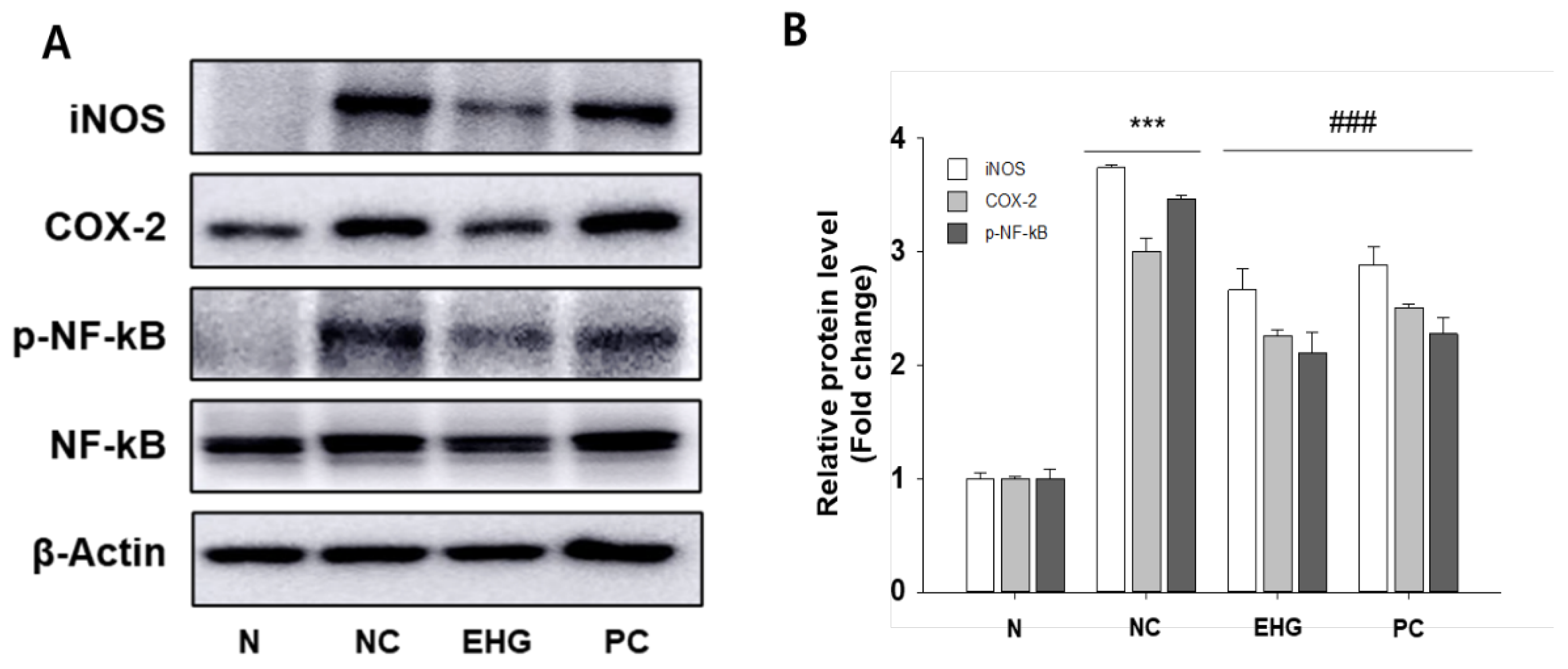 Preprints 76991 g004