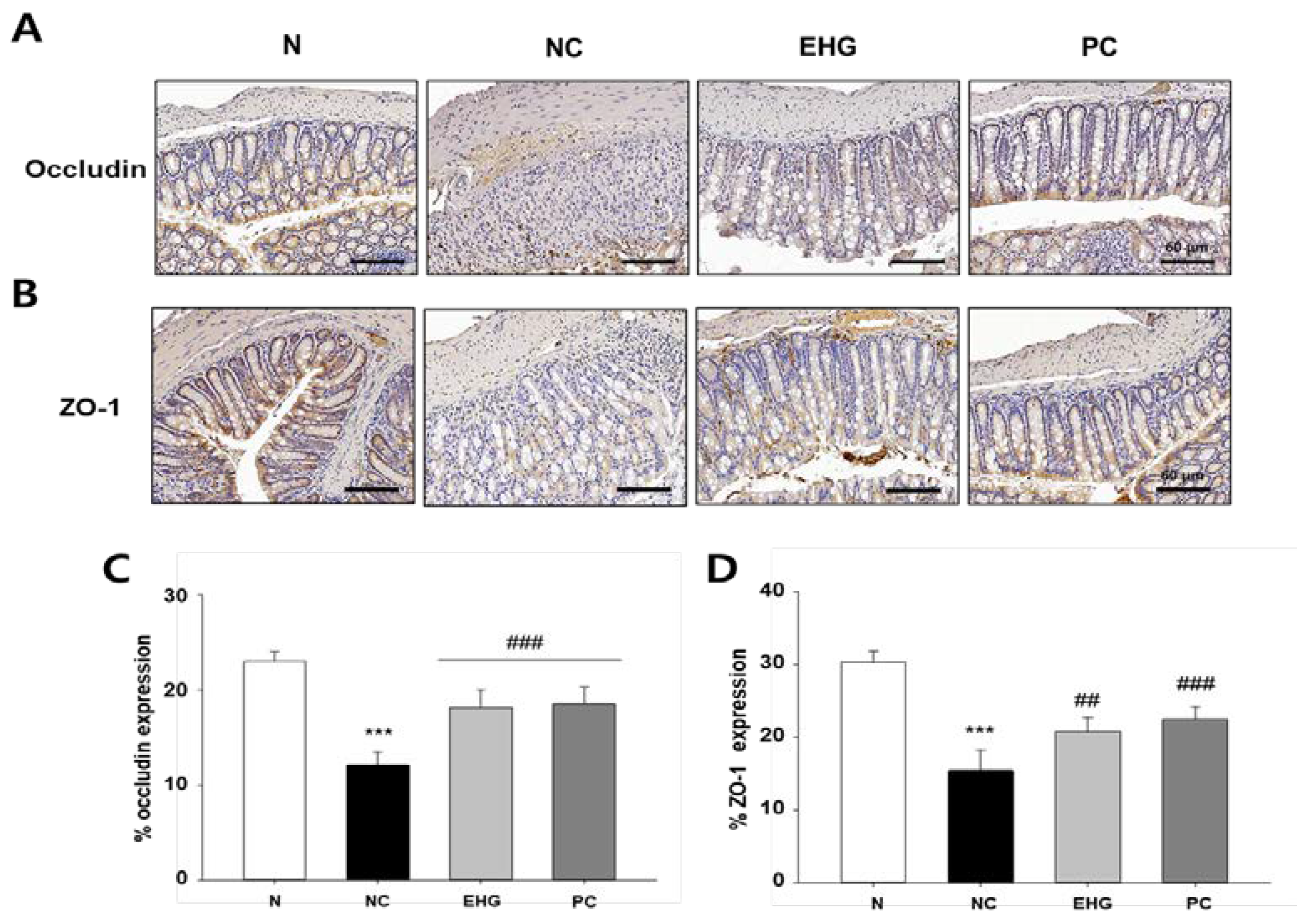 Preprints 76991 g005