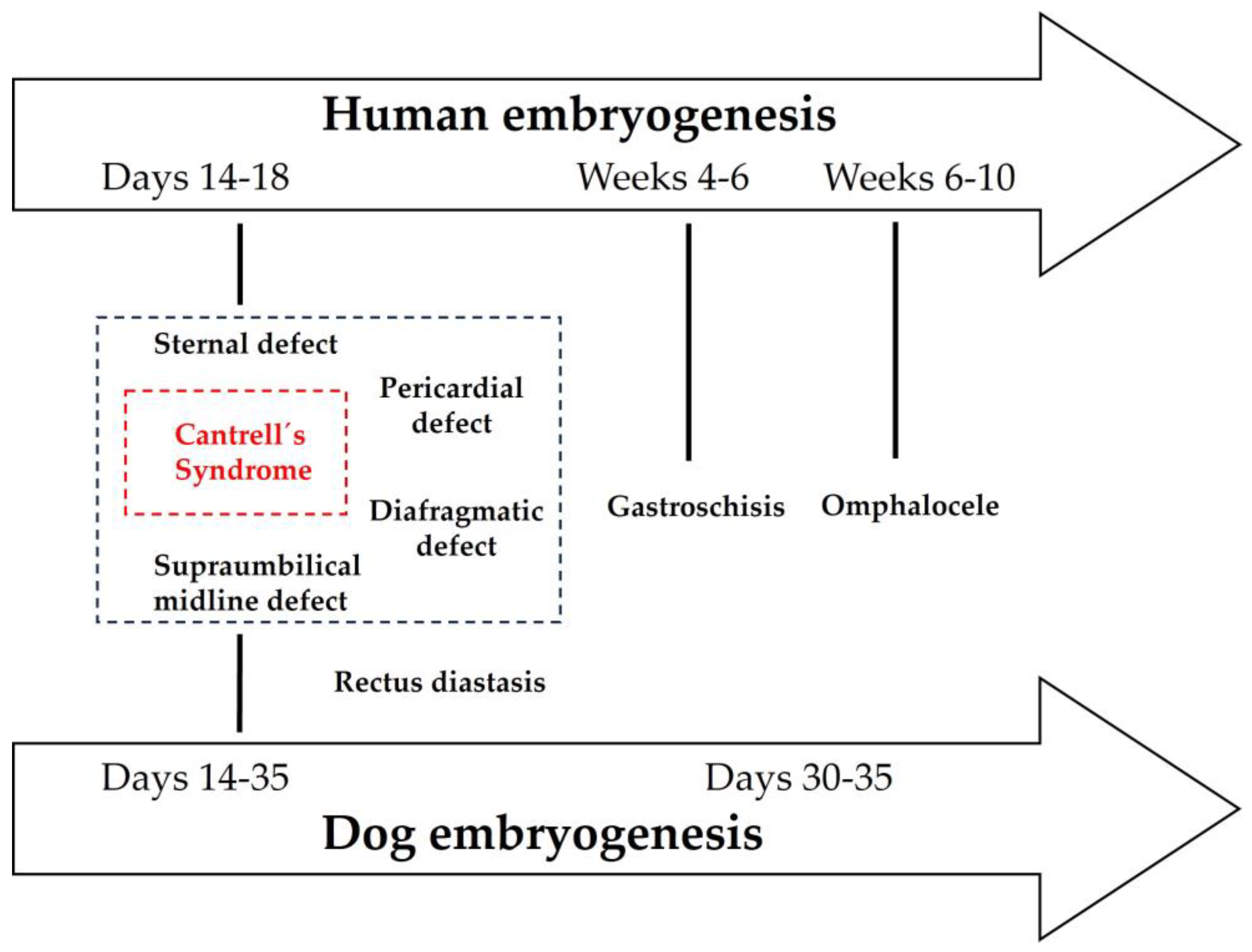 Preprints 192858 g002
