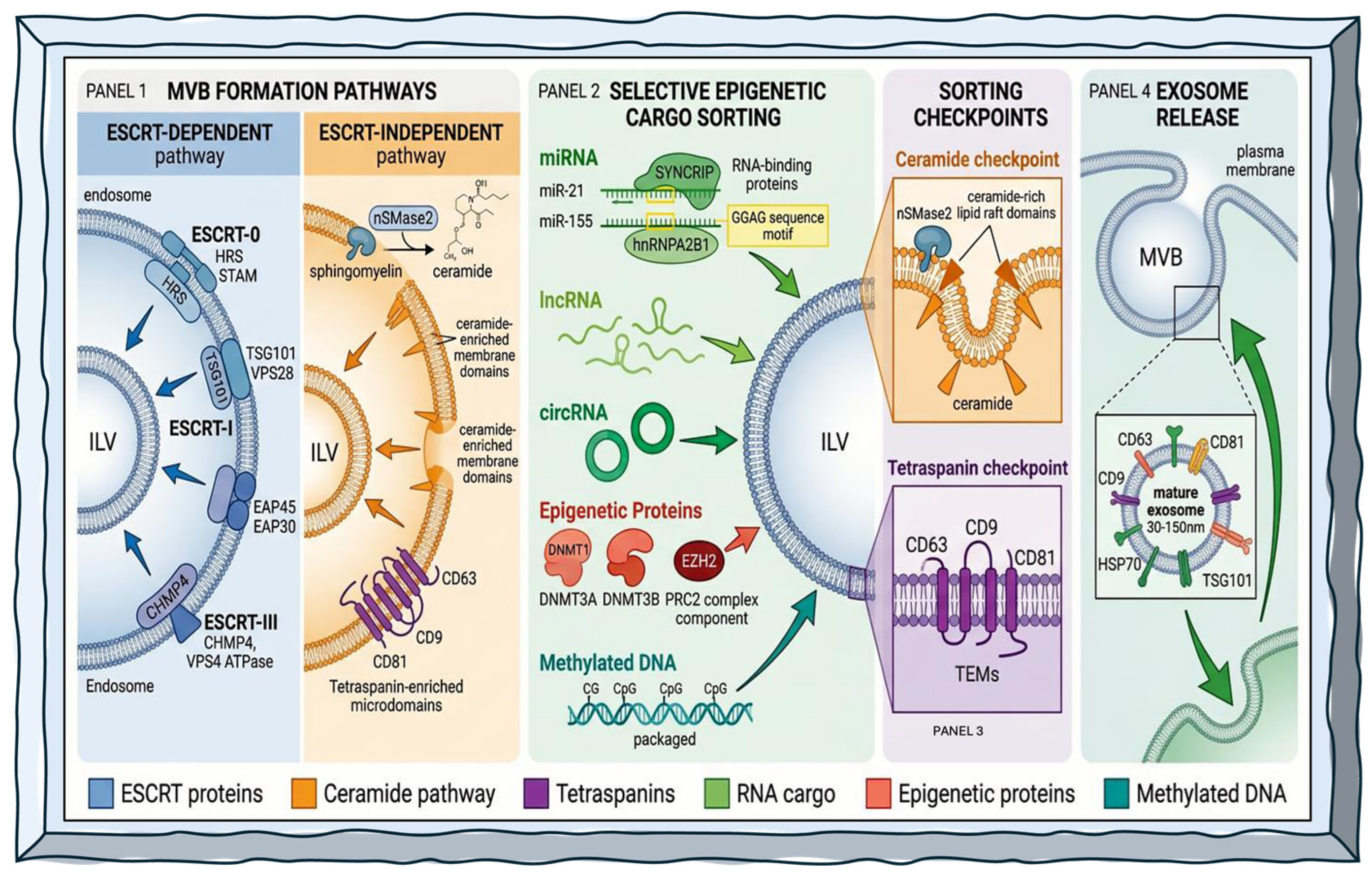 Exosome-Driven Epigenetic Rewiring in Cancer: Mechanisms and
