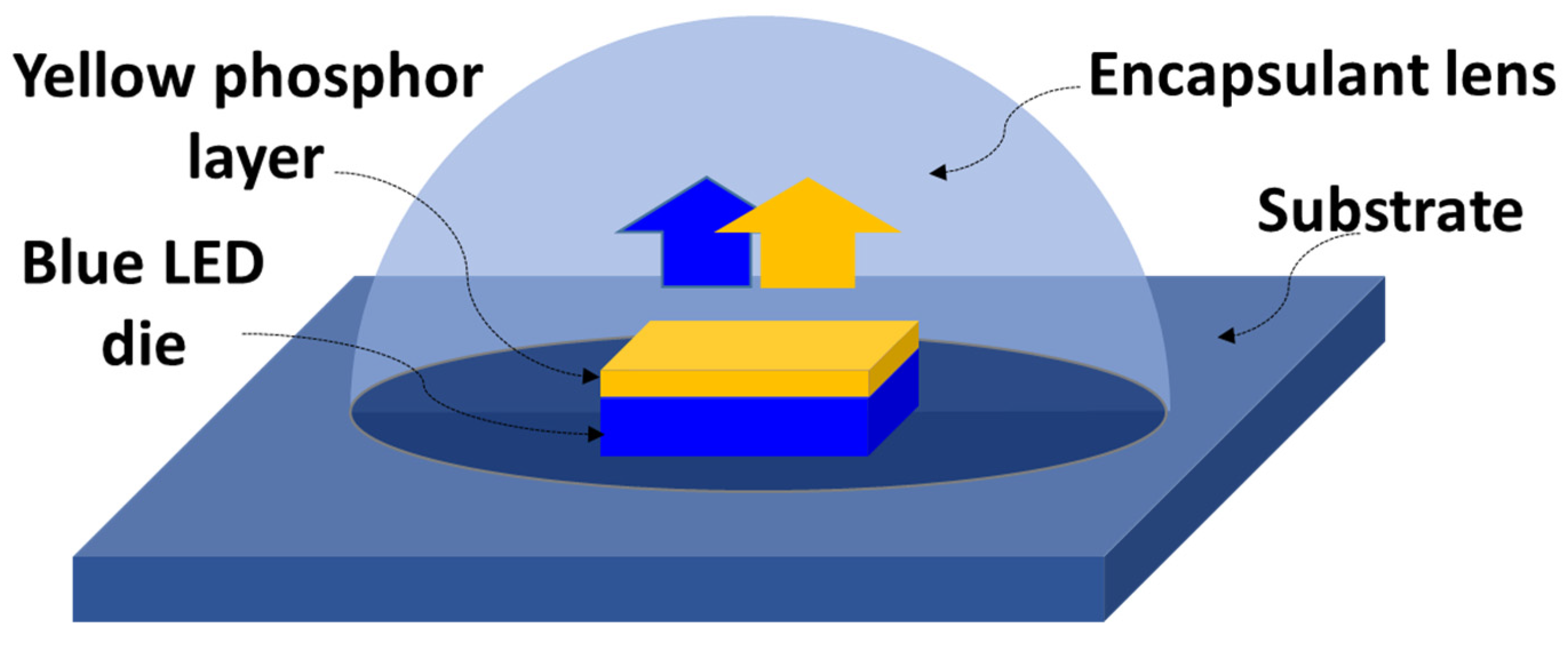 Preprints 144149 g001