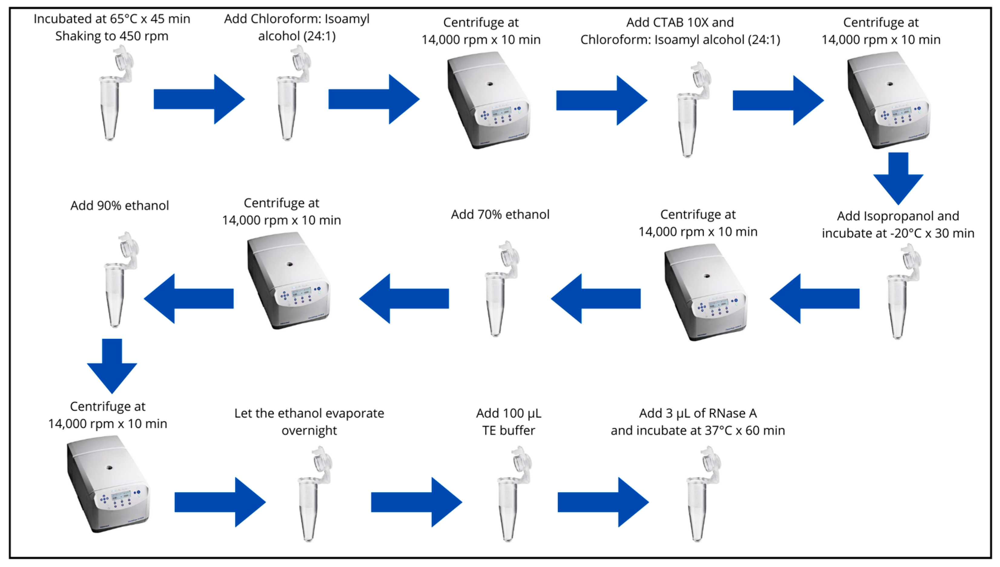 Preprints 107751 g002