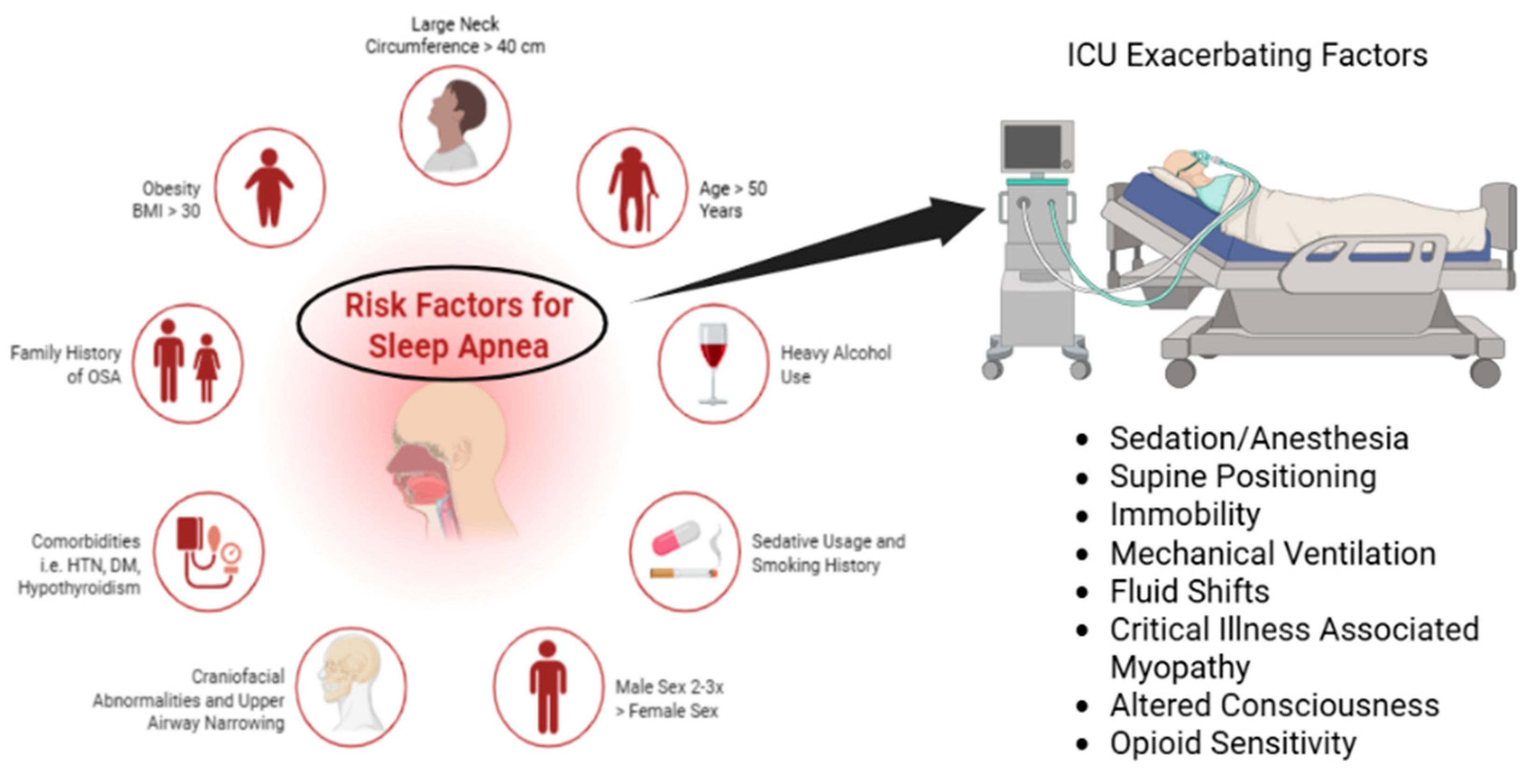 Preprints 193395 g002