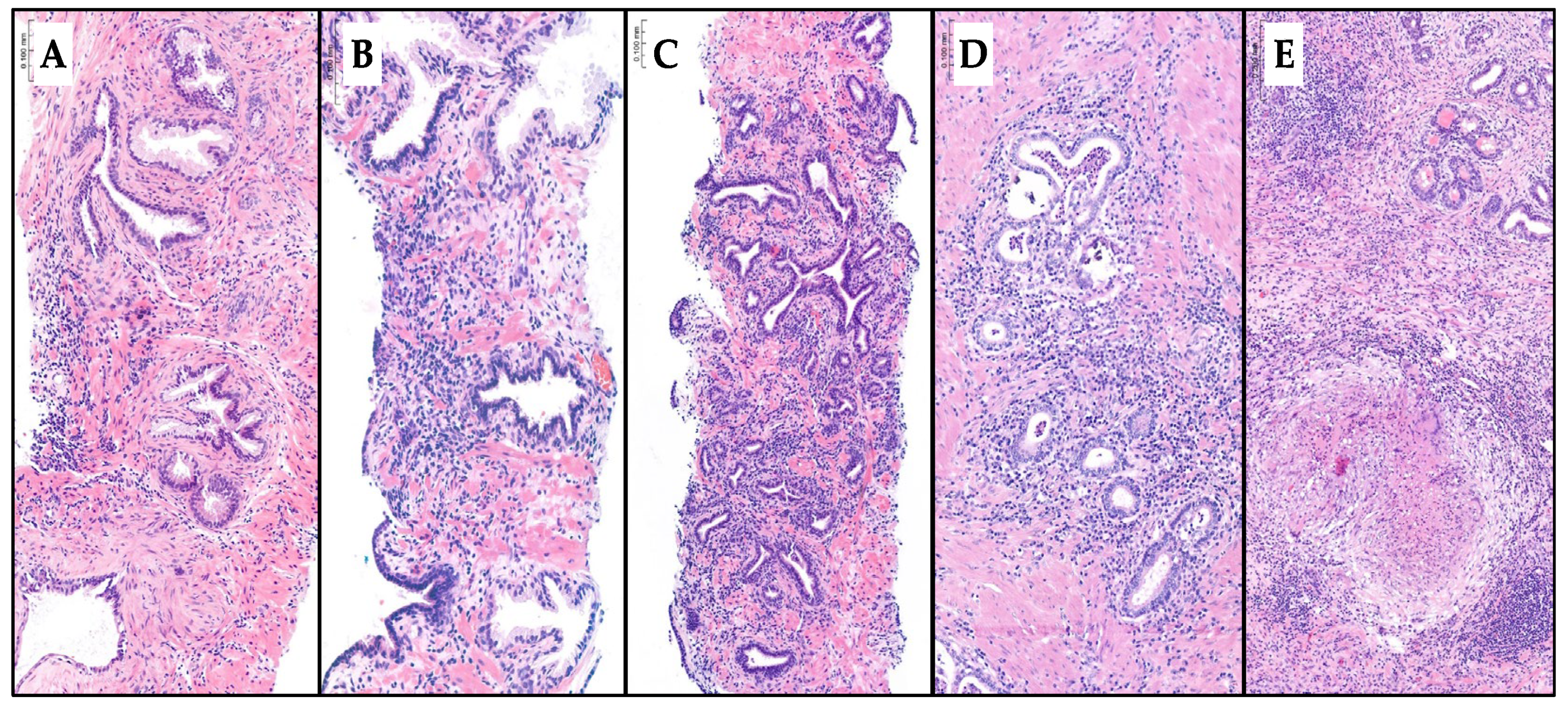 Preprints 141244 g001