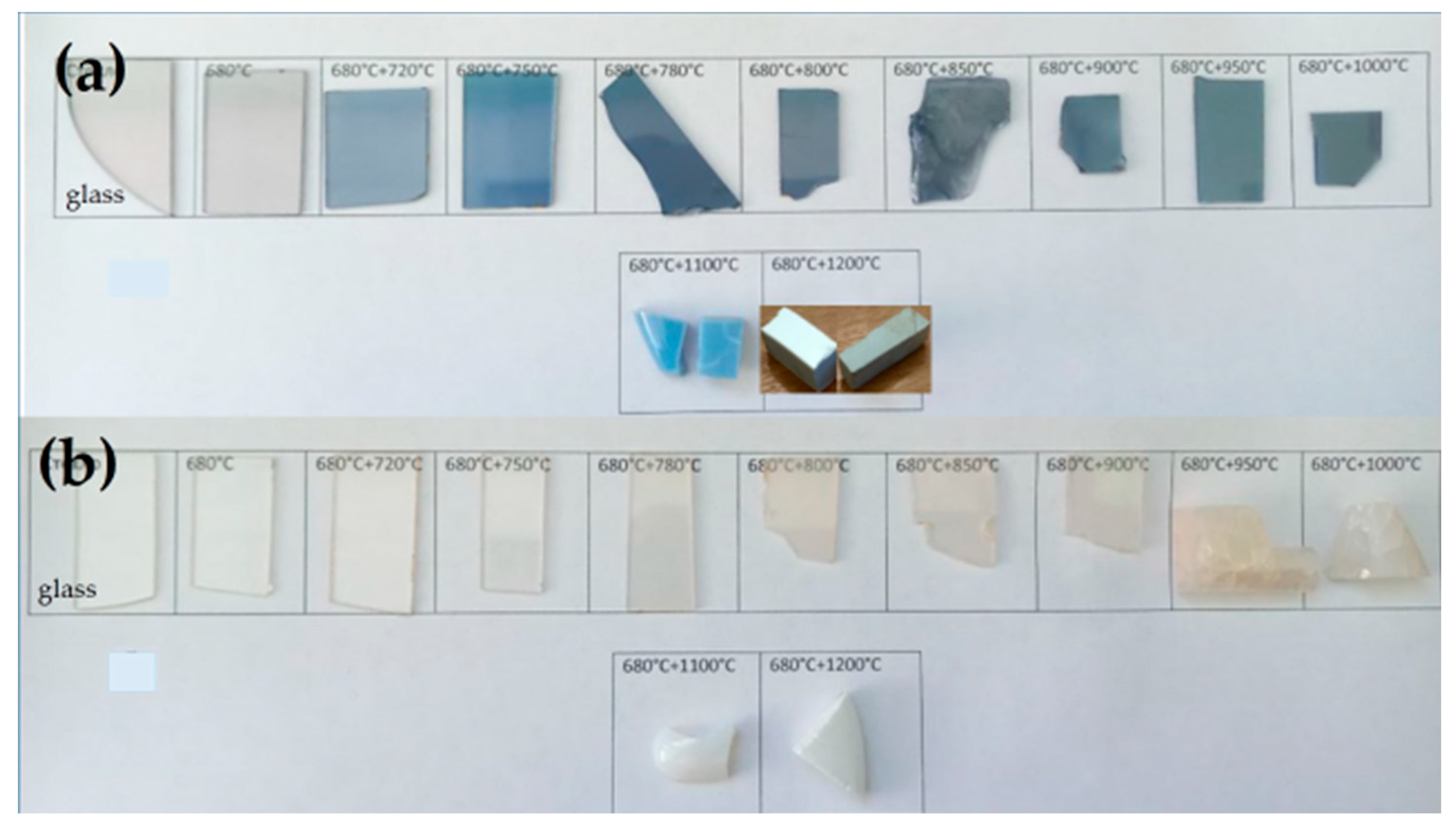 Preprints 140488 g002