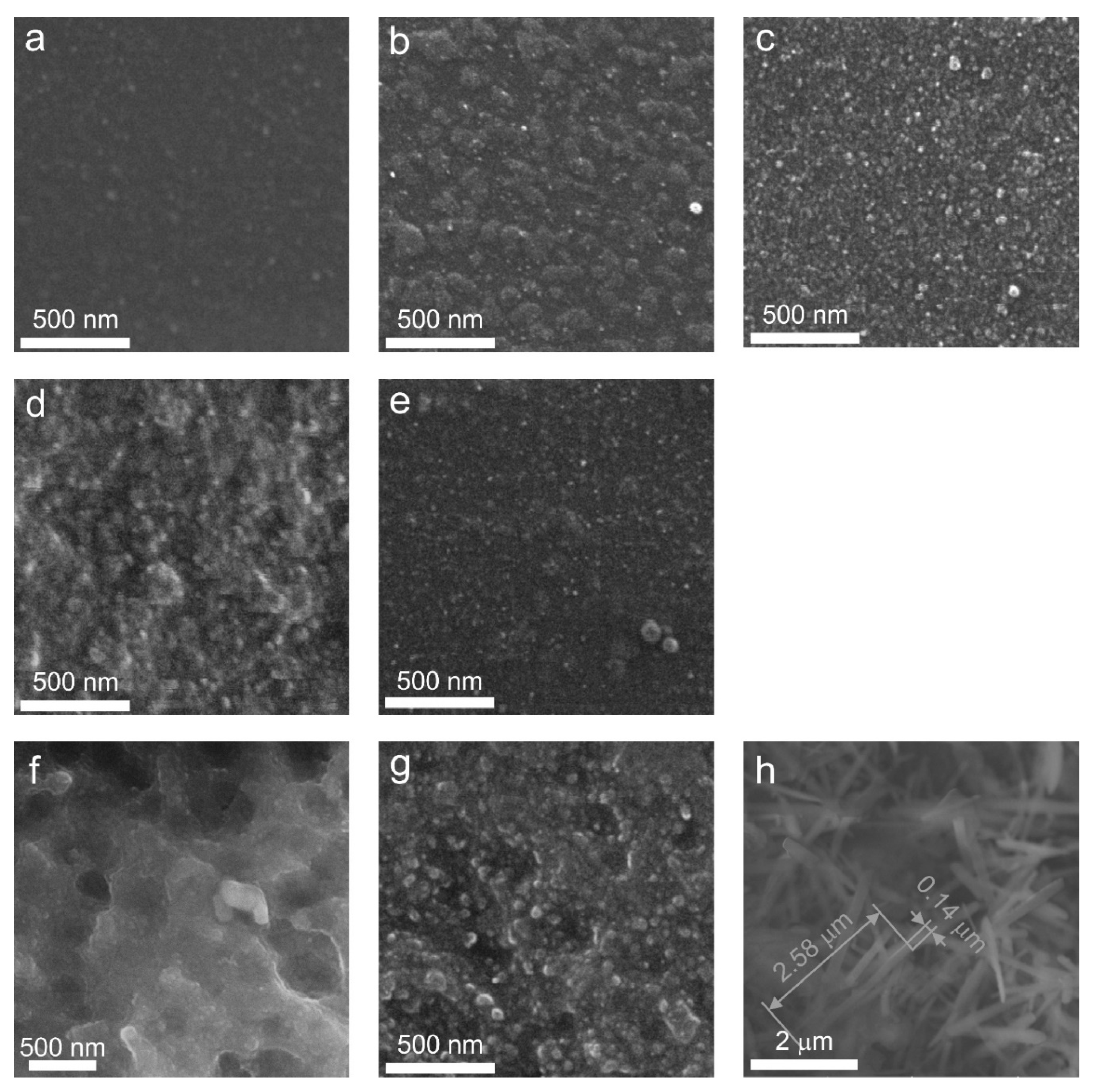 Preprints 140488 g011