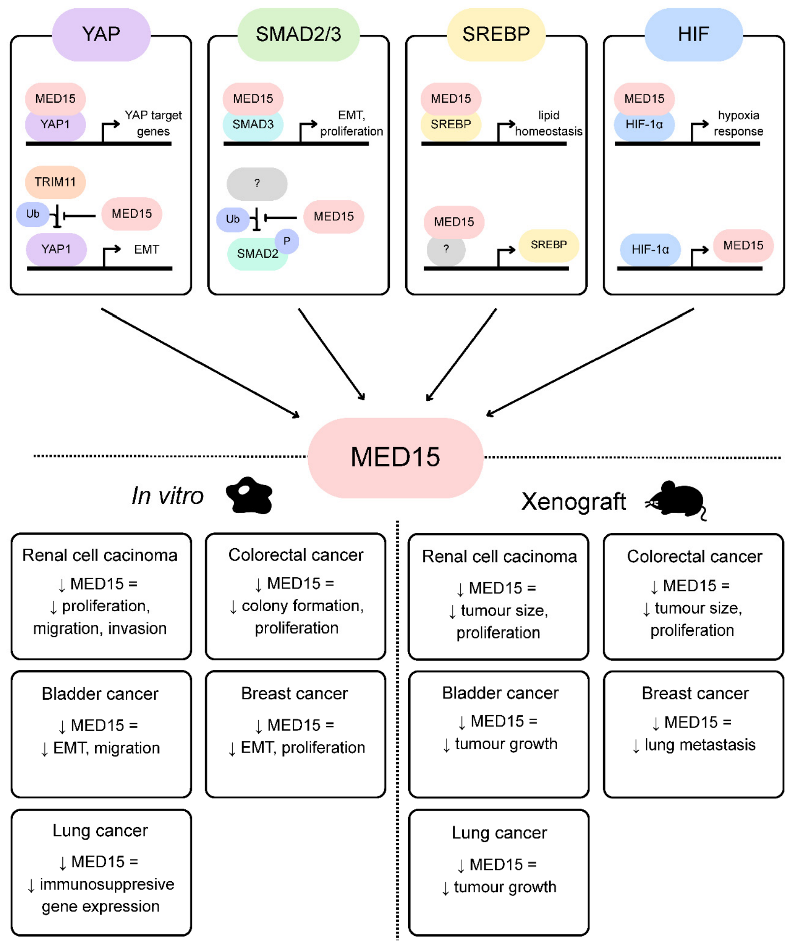 Preprints 231493 g001 Preprints 231493 g001