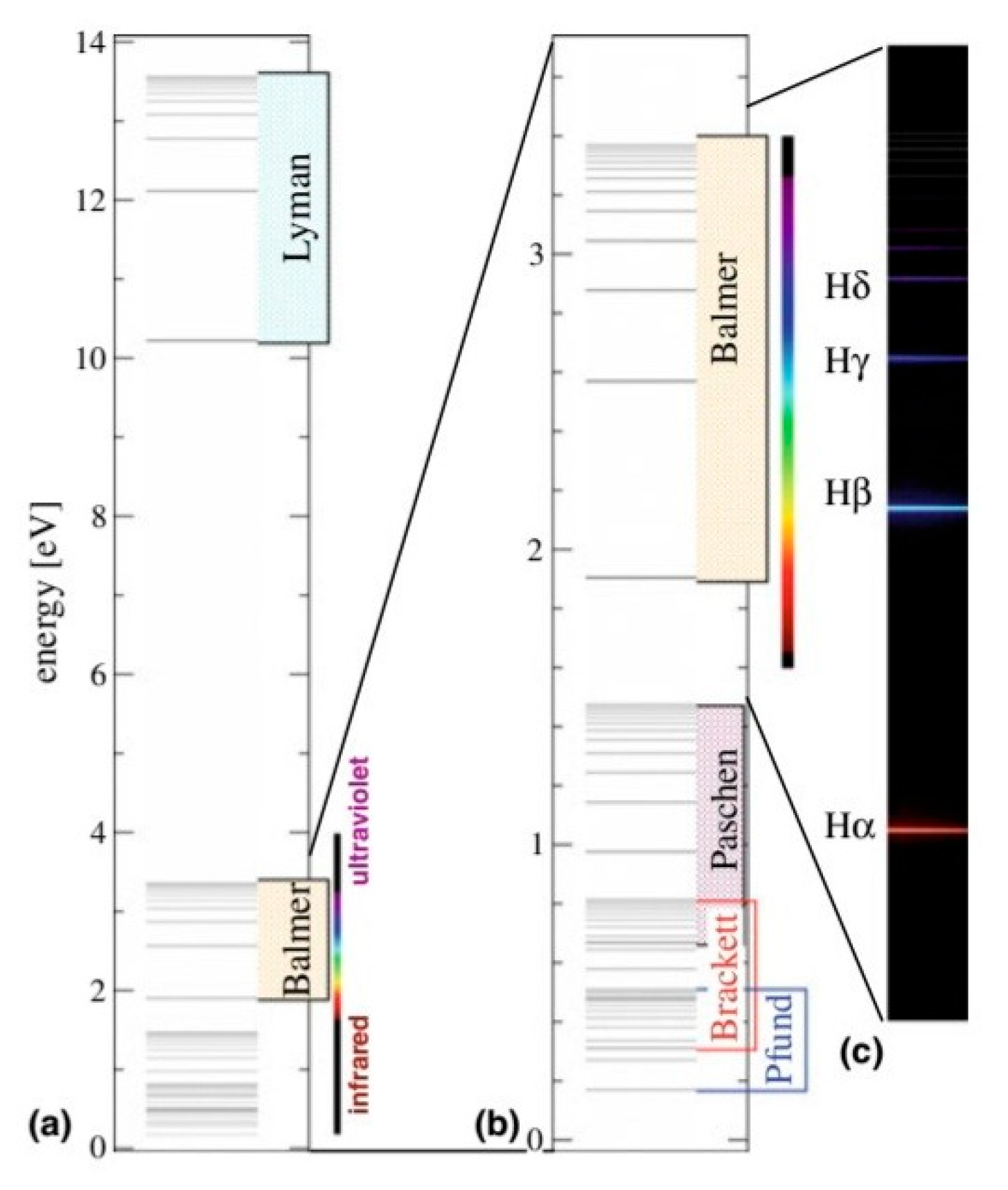 Preprints 170610 g002