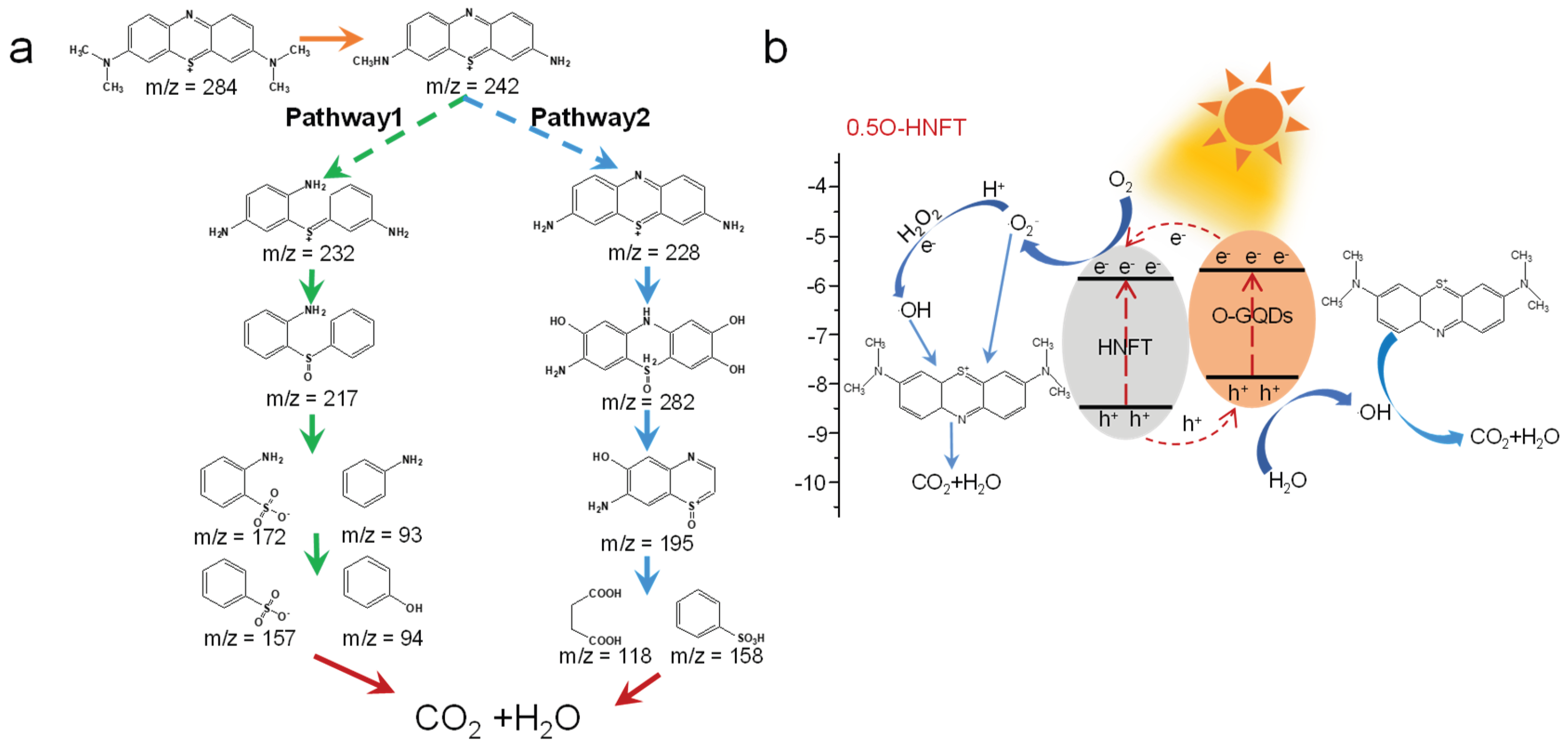 Preprints 206146 g006