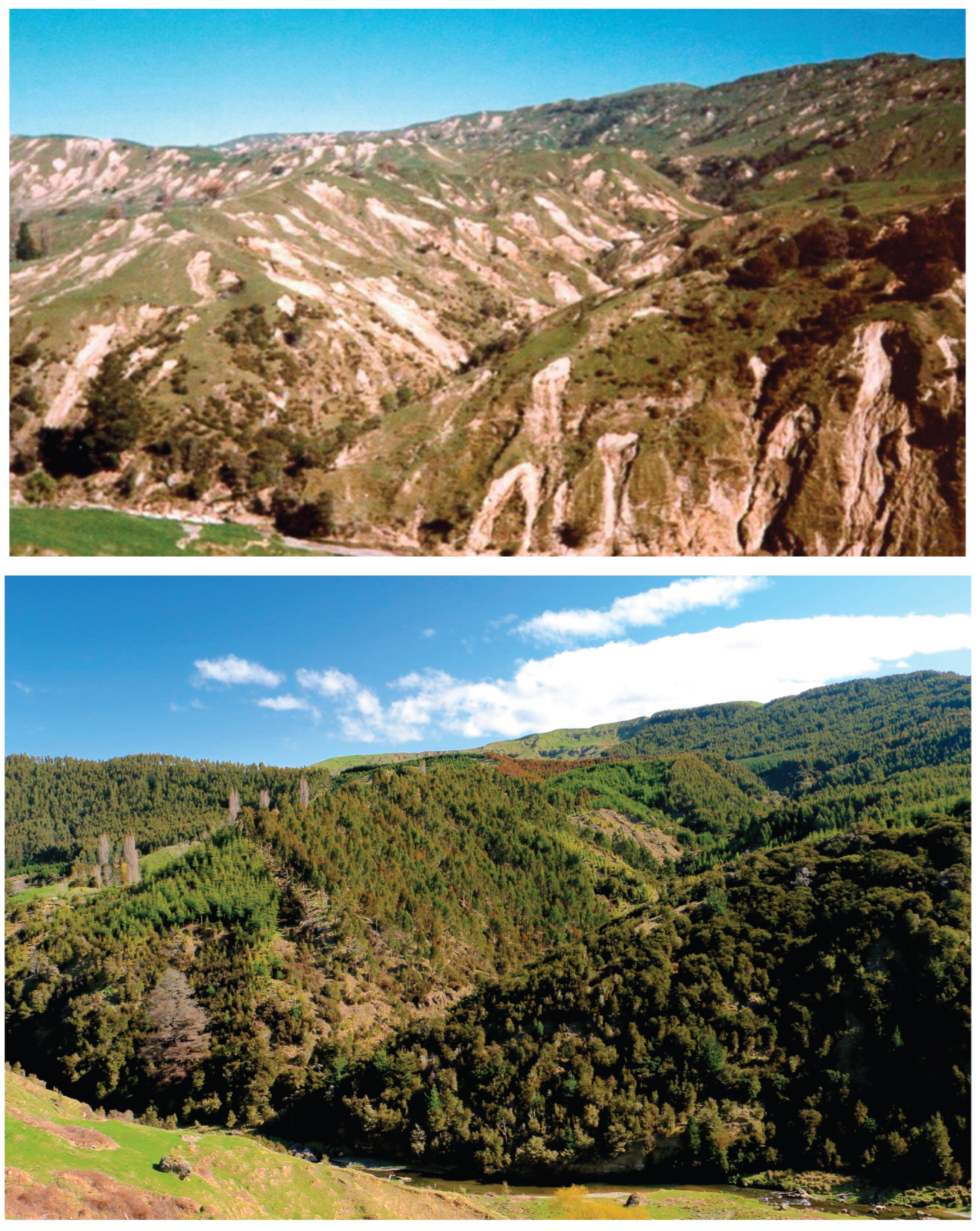 Preprints 188712 g001